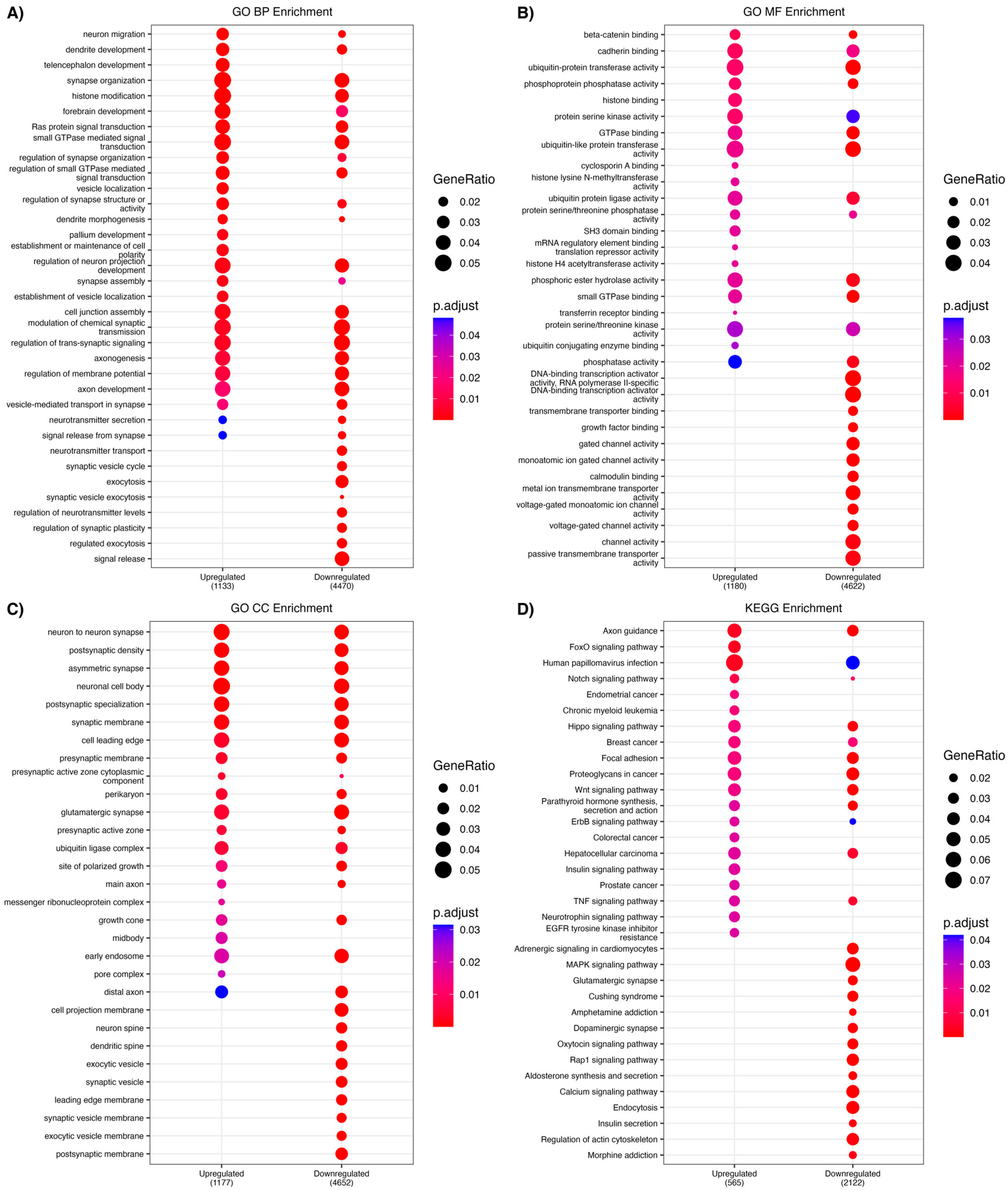 Stresses 05 00041 g002