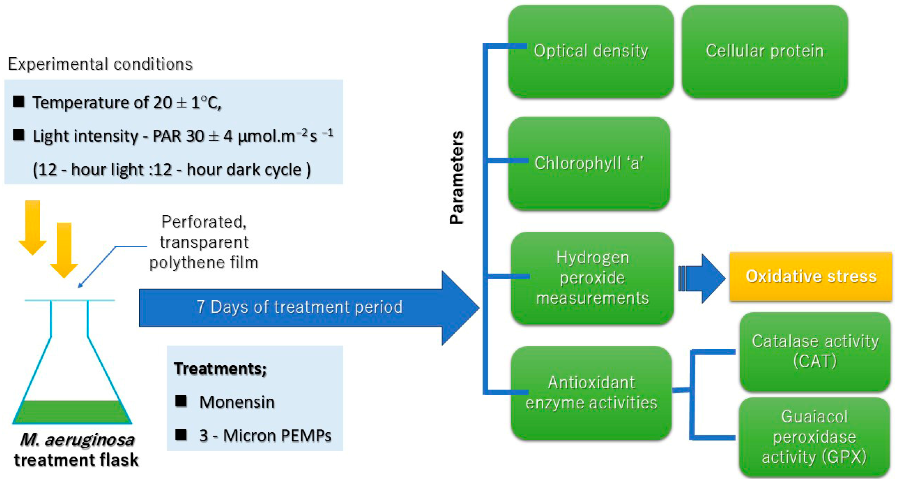 Stresses 05 00043 g010