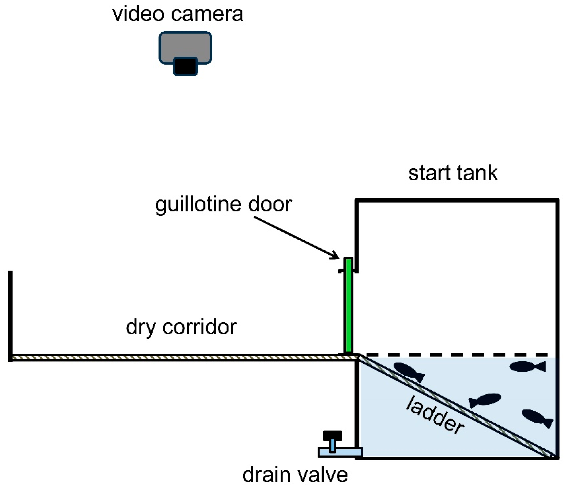 Stresses 05 00045 g001