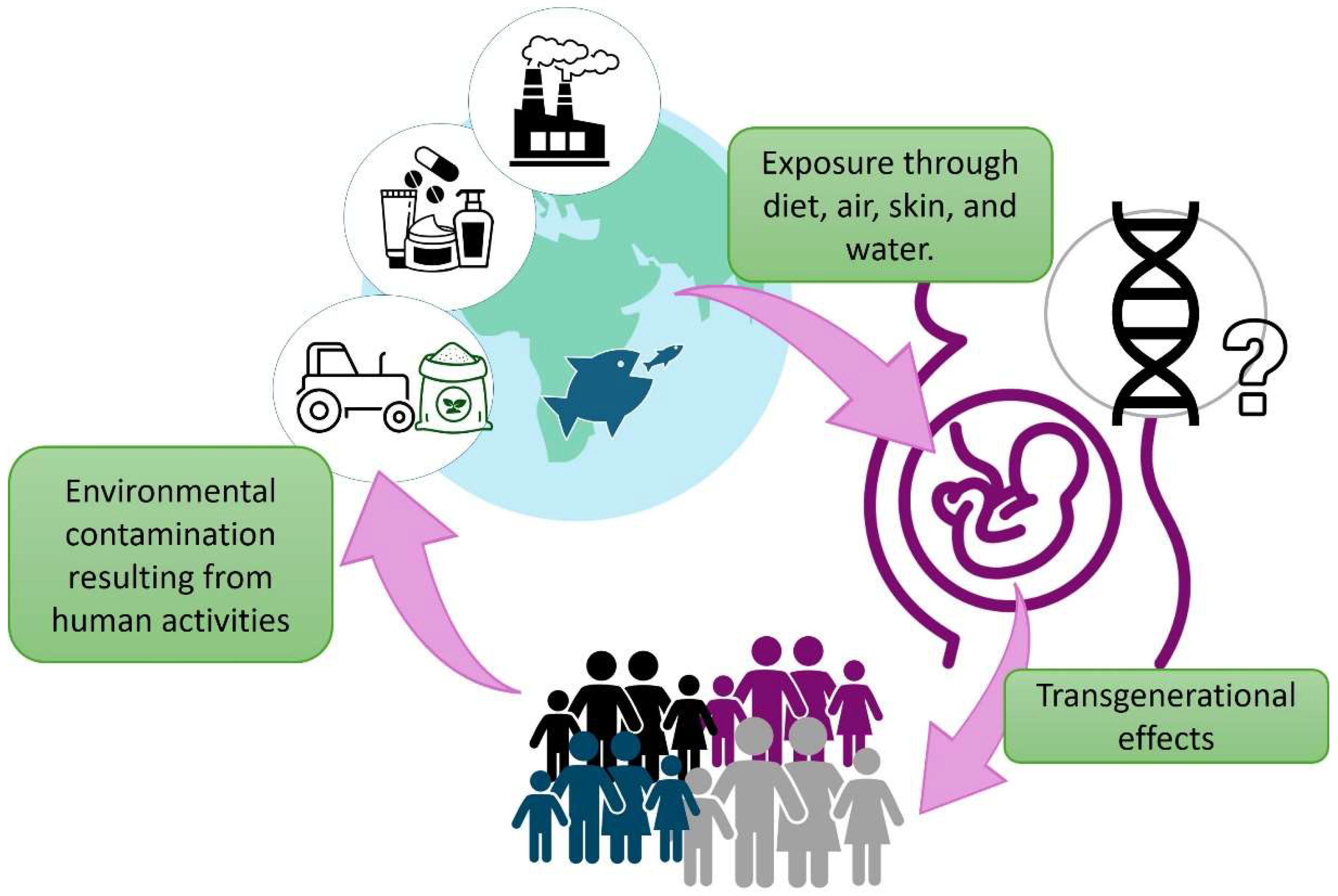 Stresses 05 00046 g001 Stresses 05 00046 g001