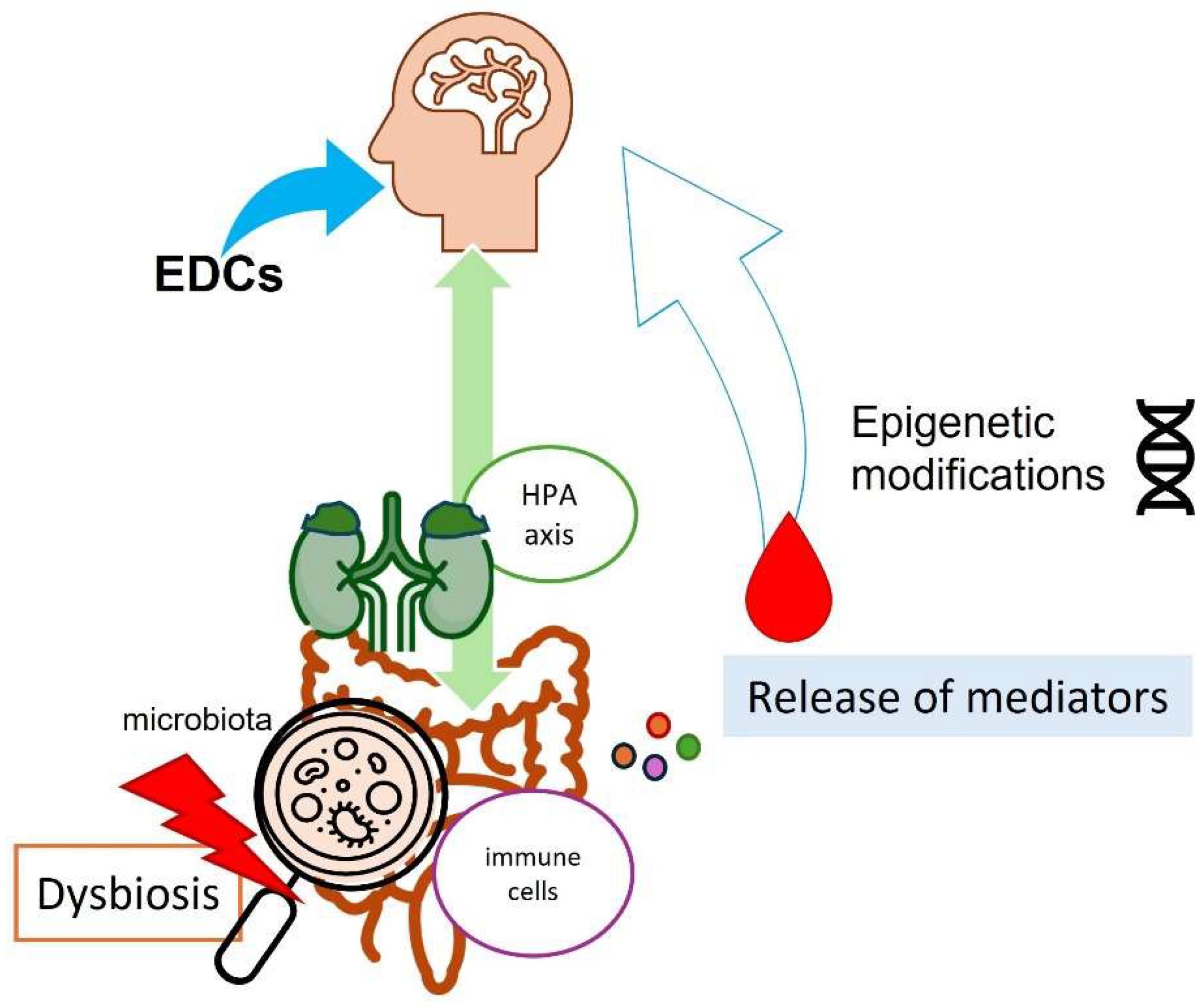 Stresses 05 00046 g003 Stresses 05 00046 g003