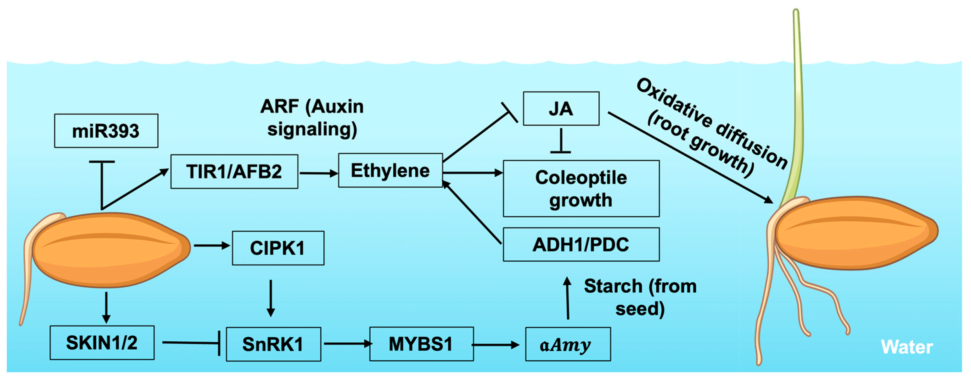 Stresses 05 00049 g001 Stresses 05 00049 g001