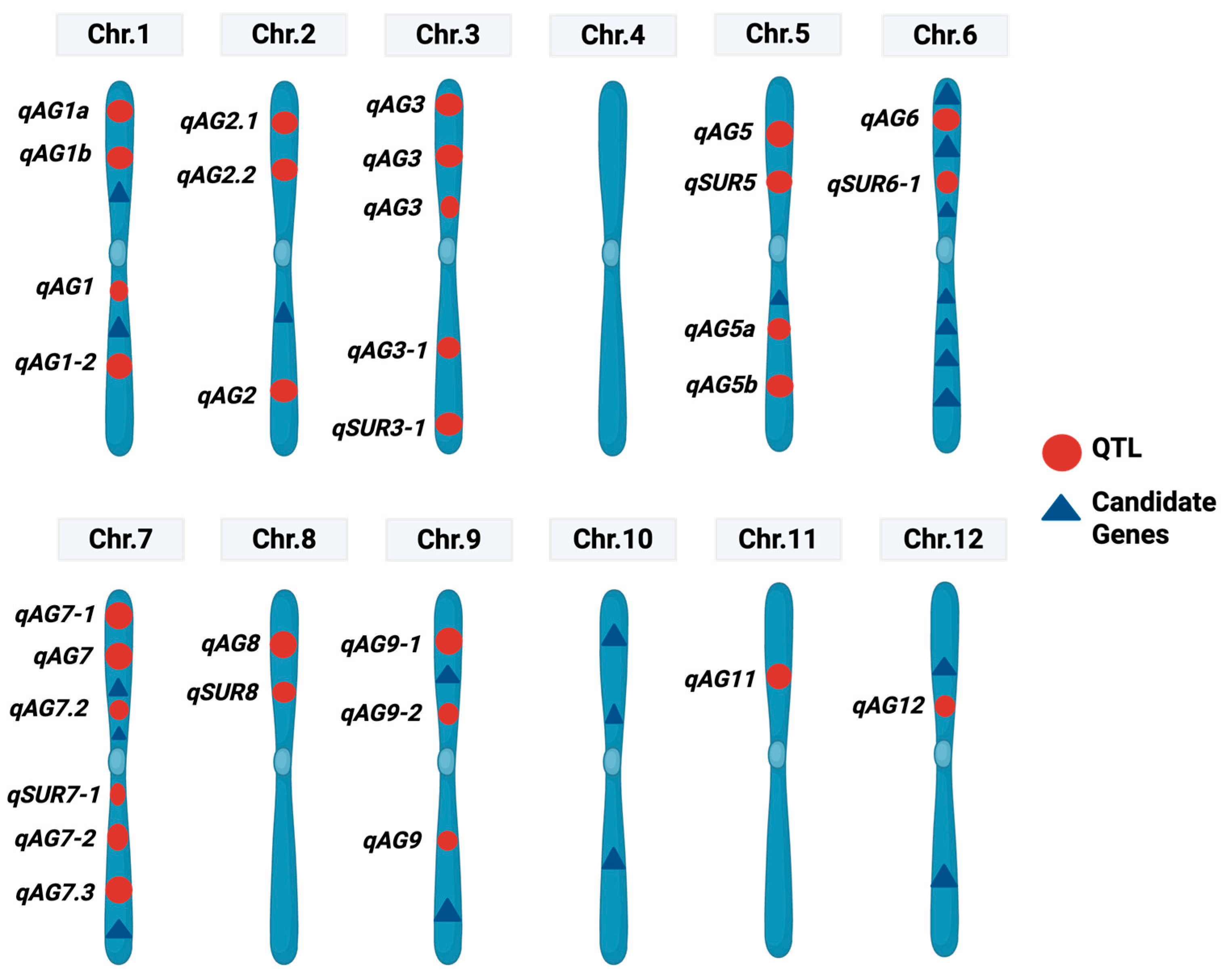 Stresses 05 00049 g002 Stresses 05 00049 g002