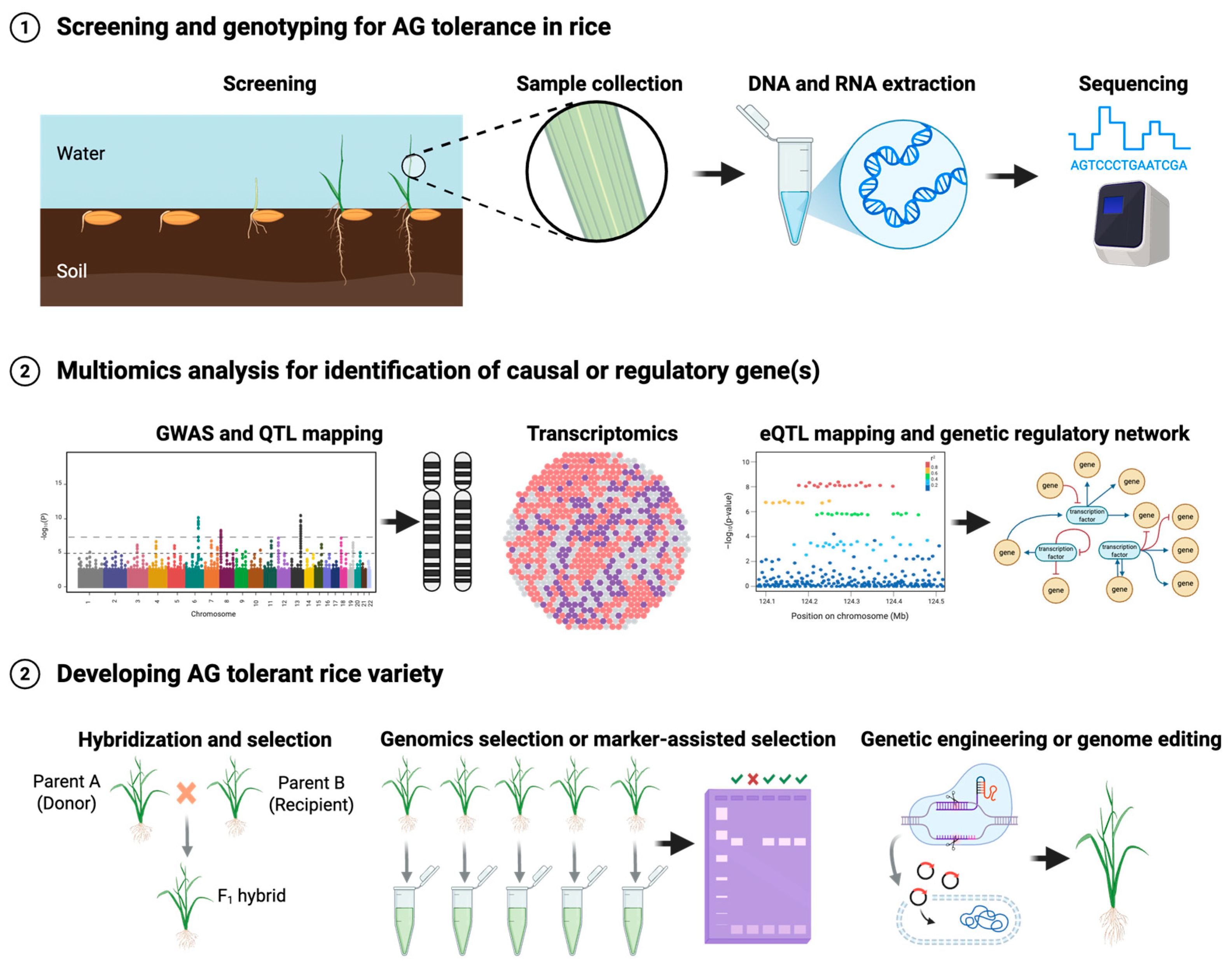 Stresses 05 00049 g003 Stresses 05 00049 g003