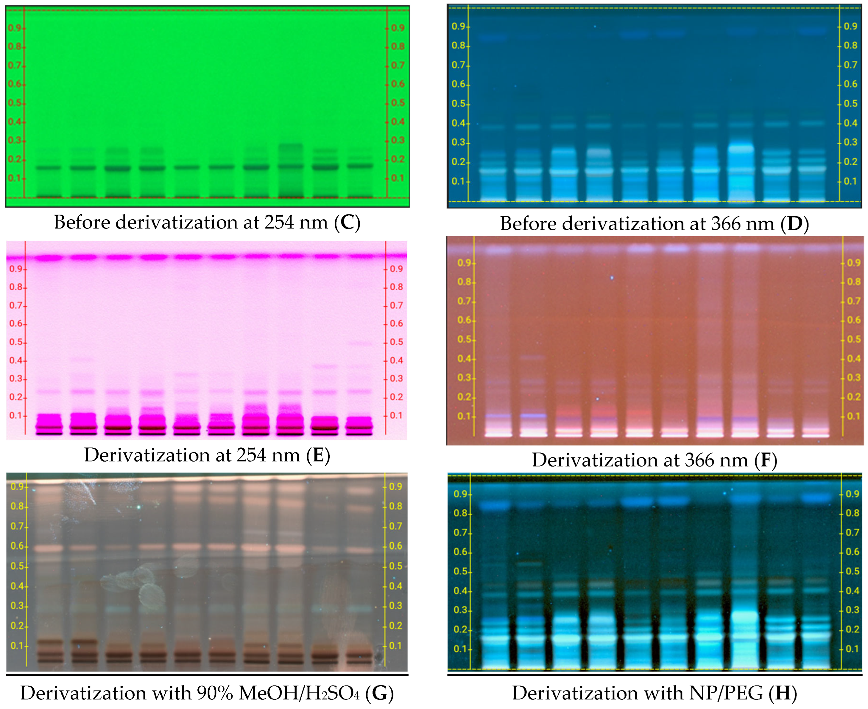 Stresses 05 00053 g001b