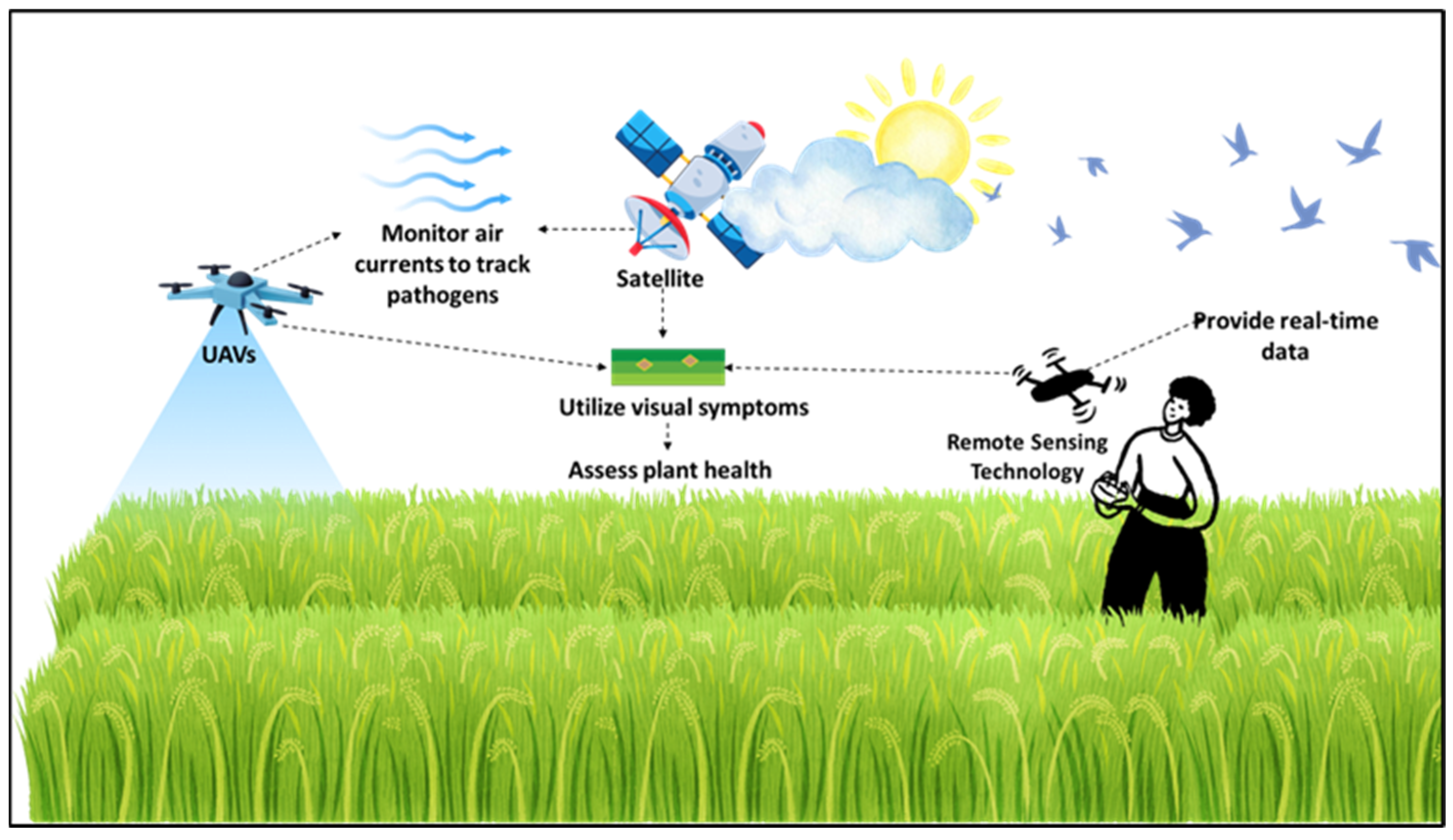 Stresses 05 00056 g002 Stresses 05 00056 g002