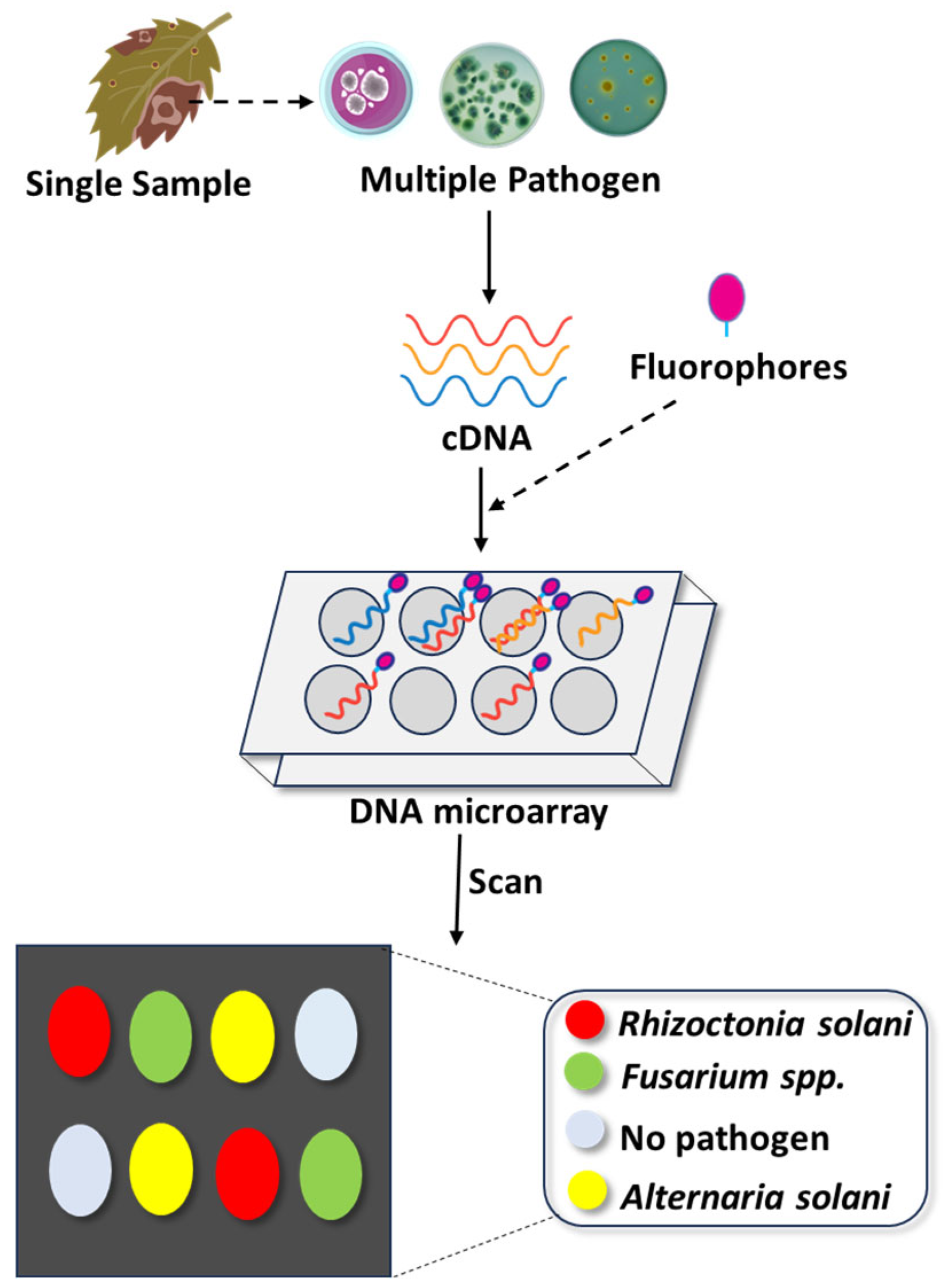Stresses 05 00056 g003 Stresses 05 00056 g003