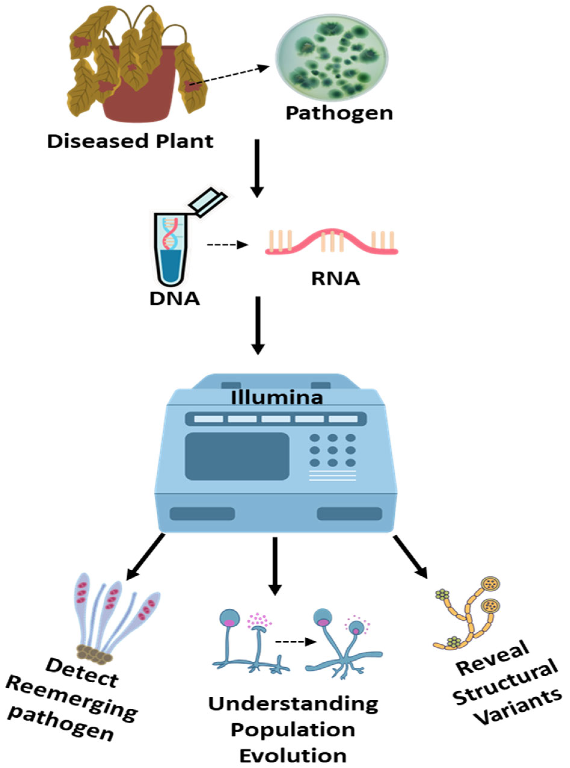 Stresses 05 00056 g004 Stresses 05 00056 g004