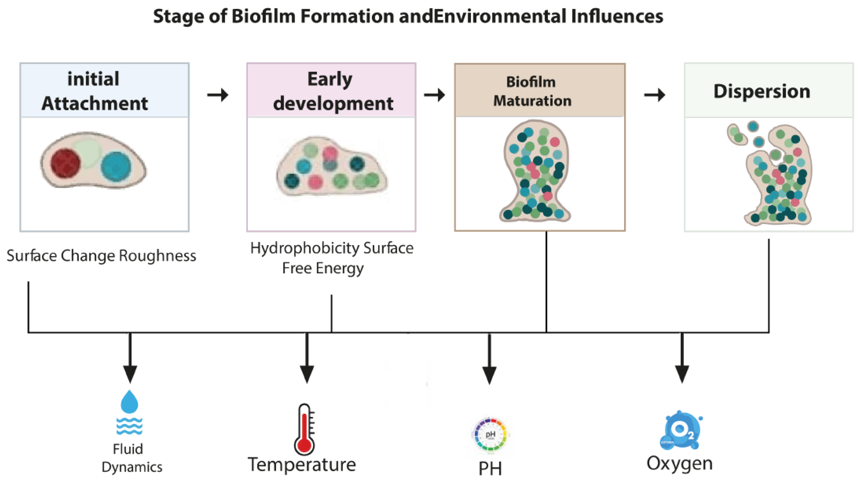 Stresses 05 00058 g001 Stresses 05 00058 g001