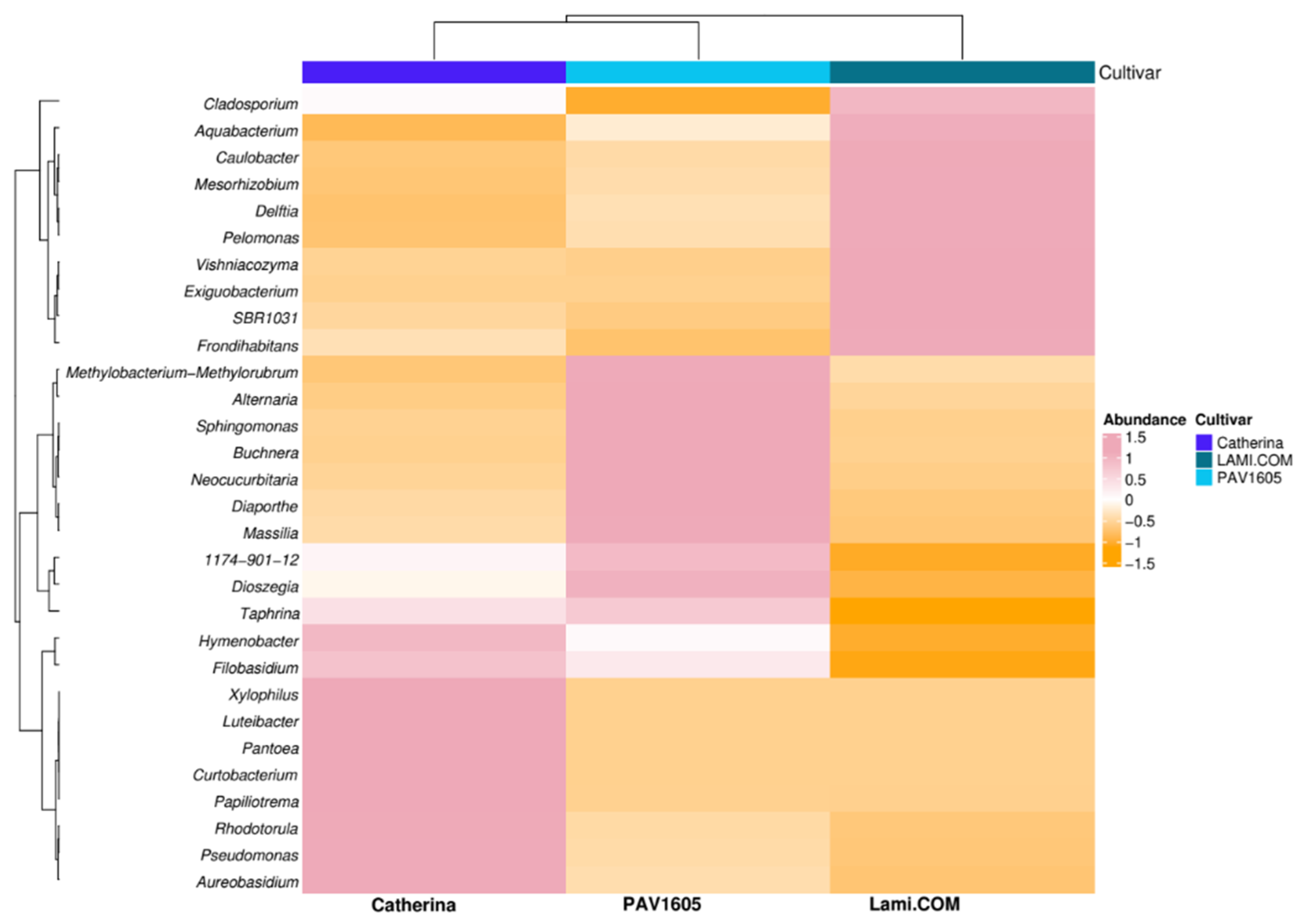 Stresses 05 00060 g005 Stresses 05 00060 g005