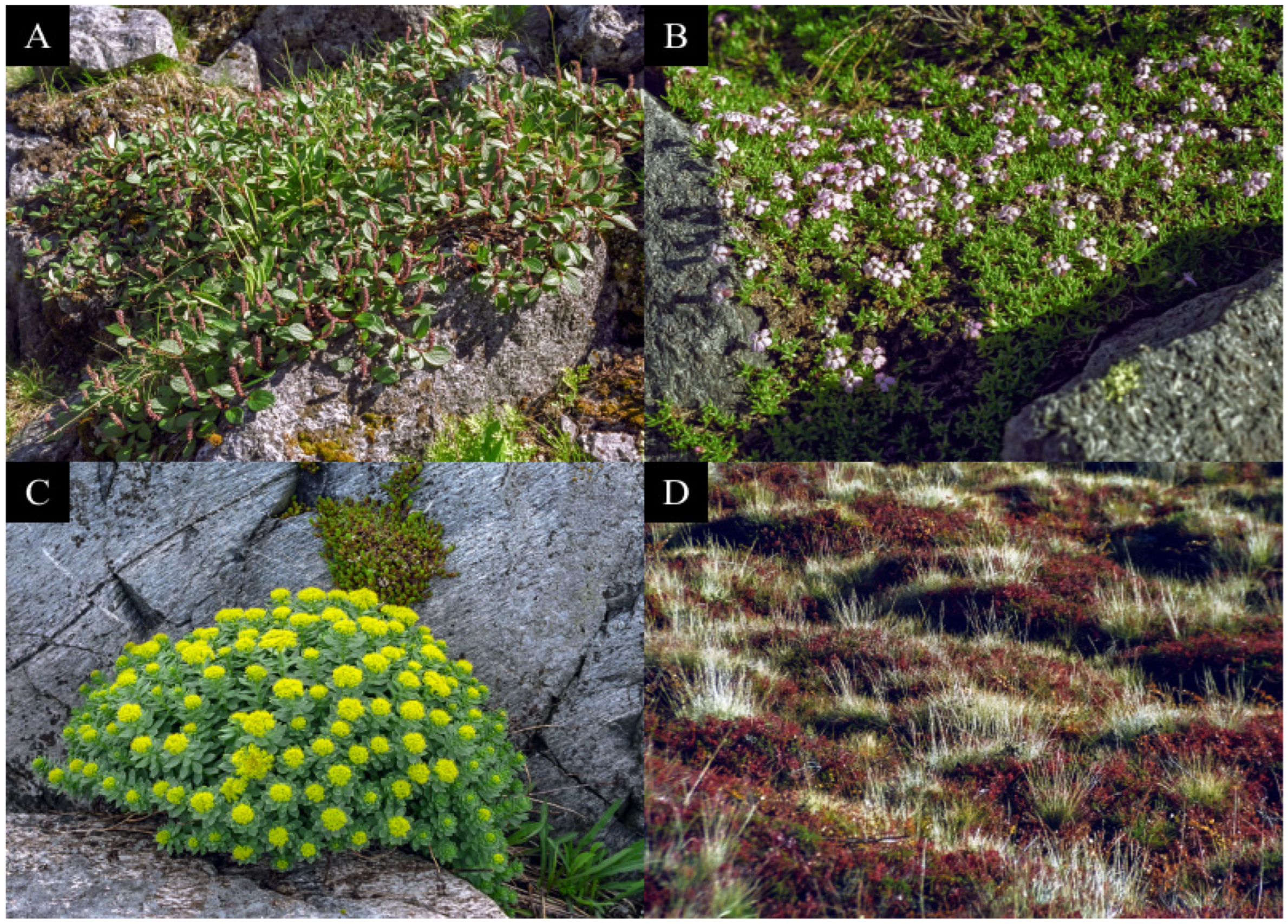 Stresses 05 00064 g001 Stresses 05 00064 g001