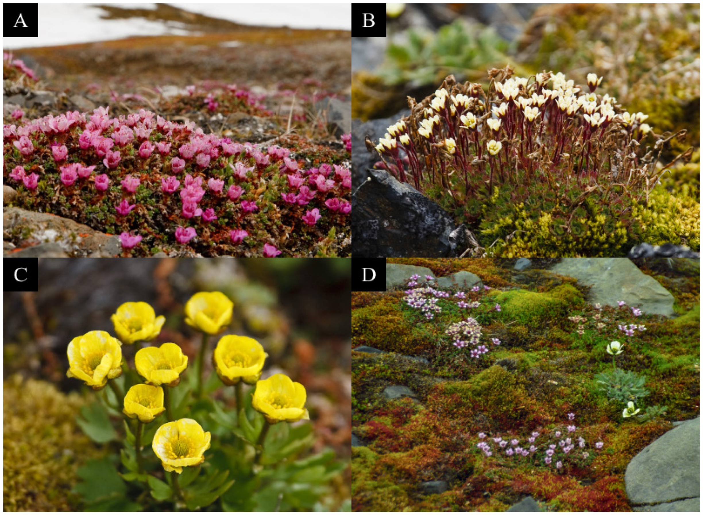 Stresses 05 00064 g002 Stresses 05 00064 g002