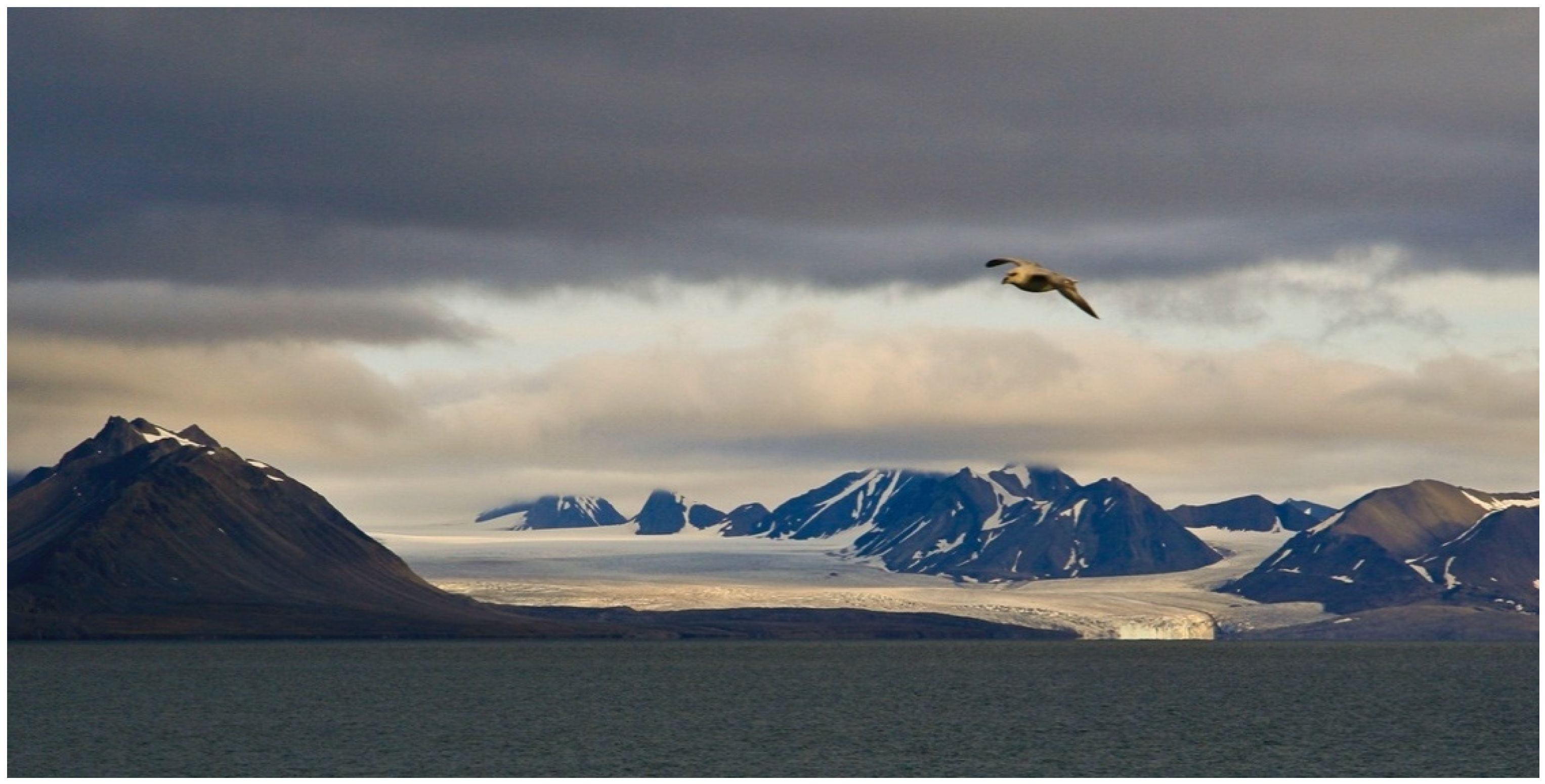 Stresses 05 00064 g004 Stresses 05 00064 g004