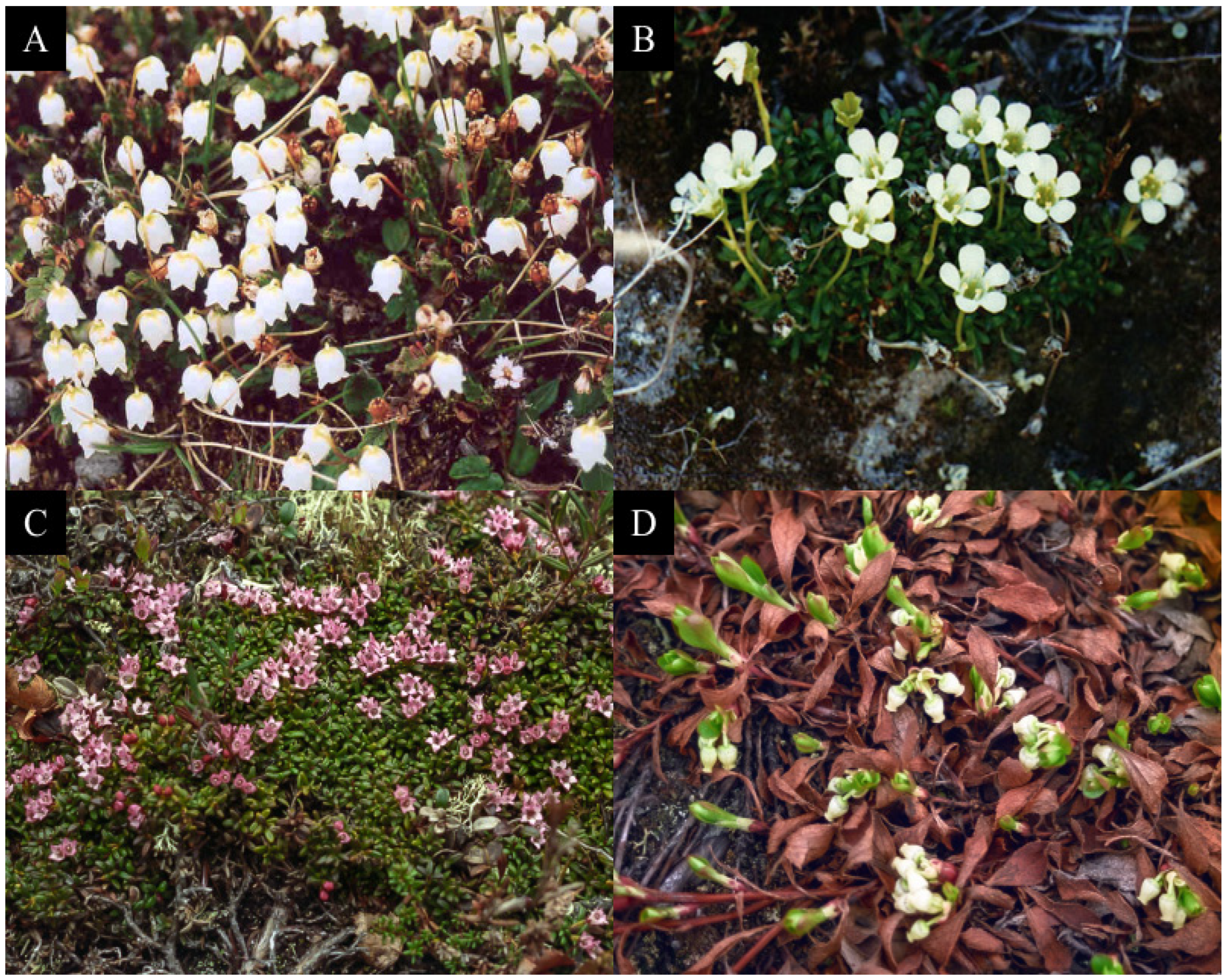 Stresses 05 00064 g005 Stresses 05 00064 g005