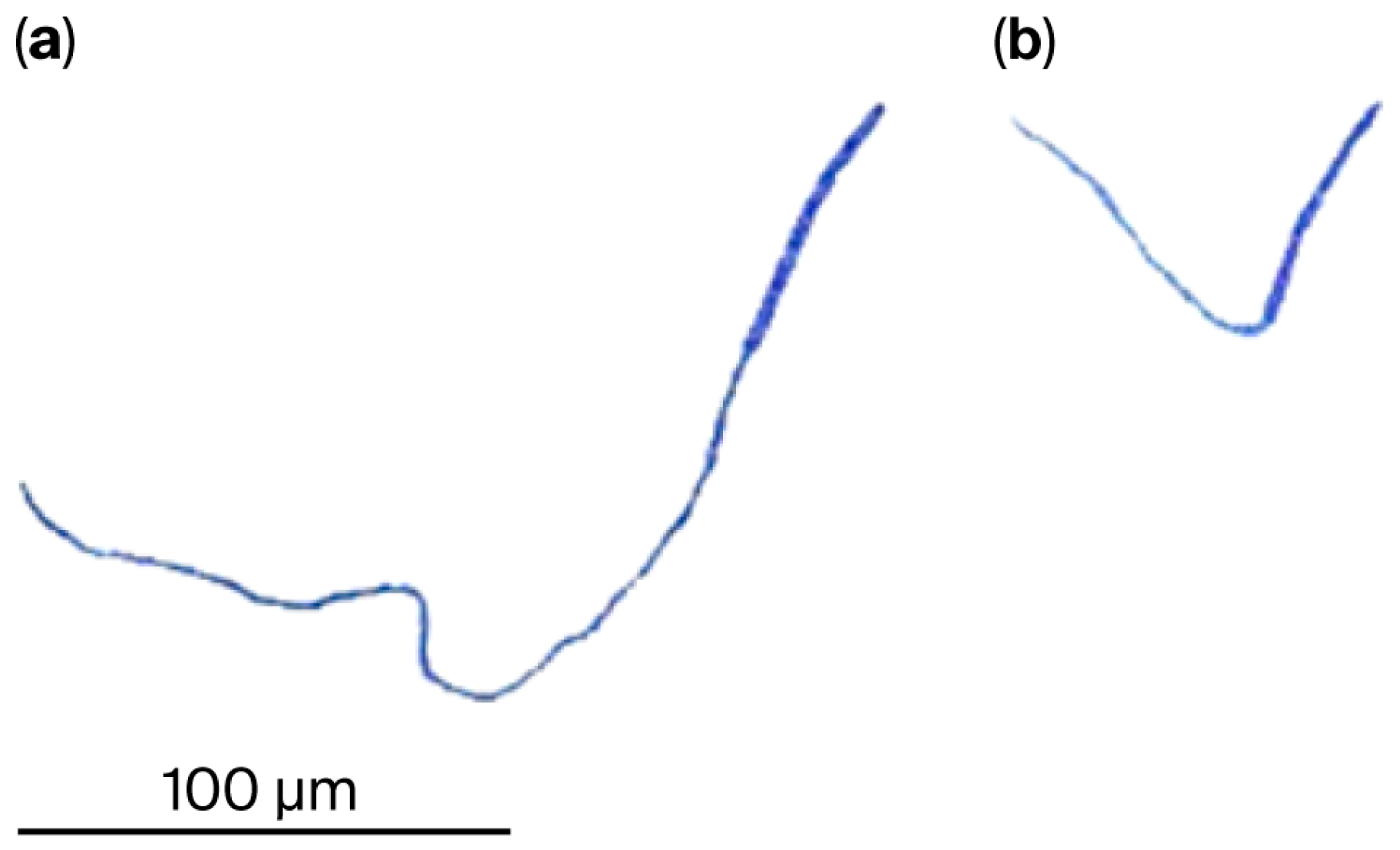 Stresses 05 00067 g002