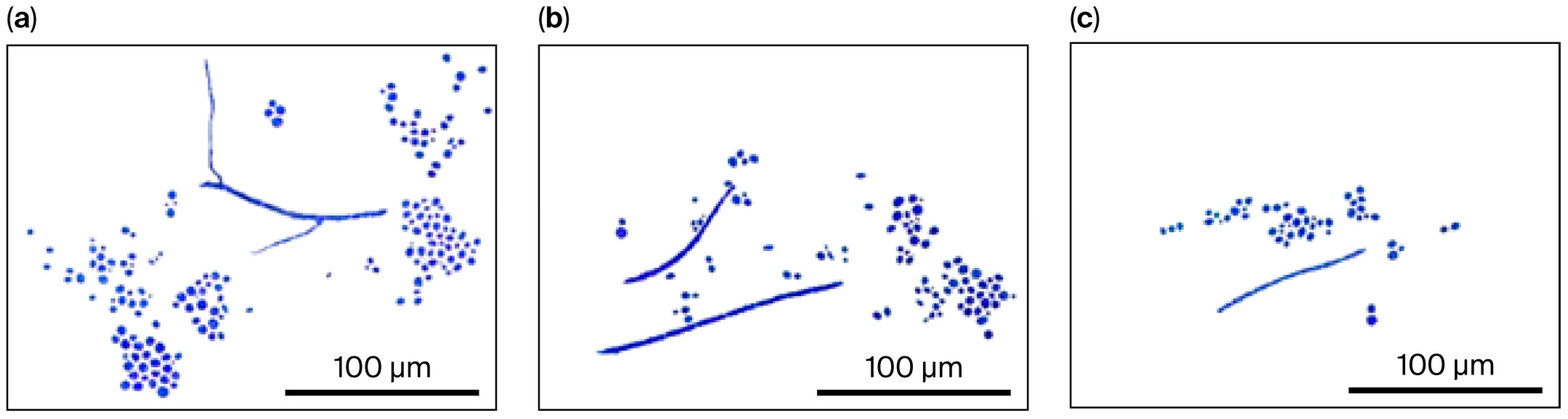 Stresses 05 00067 g003