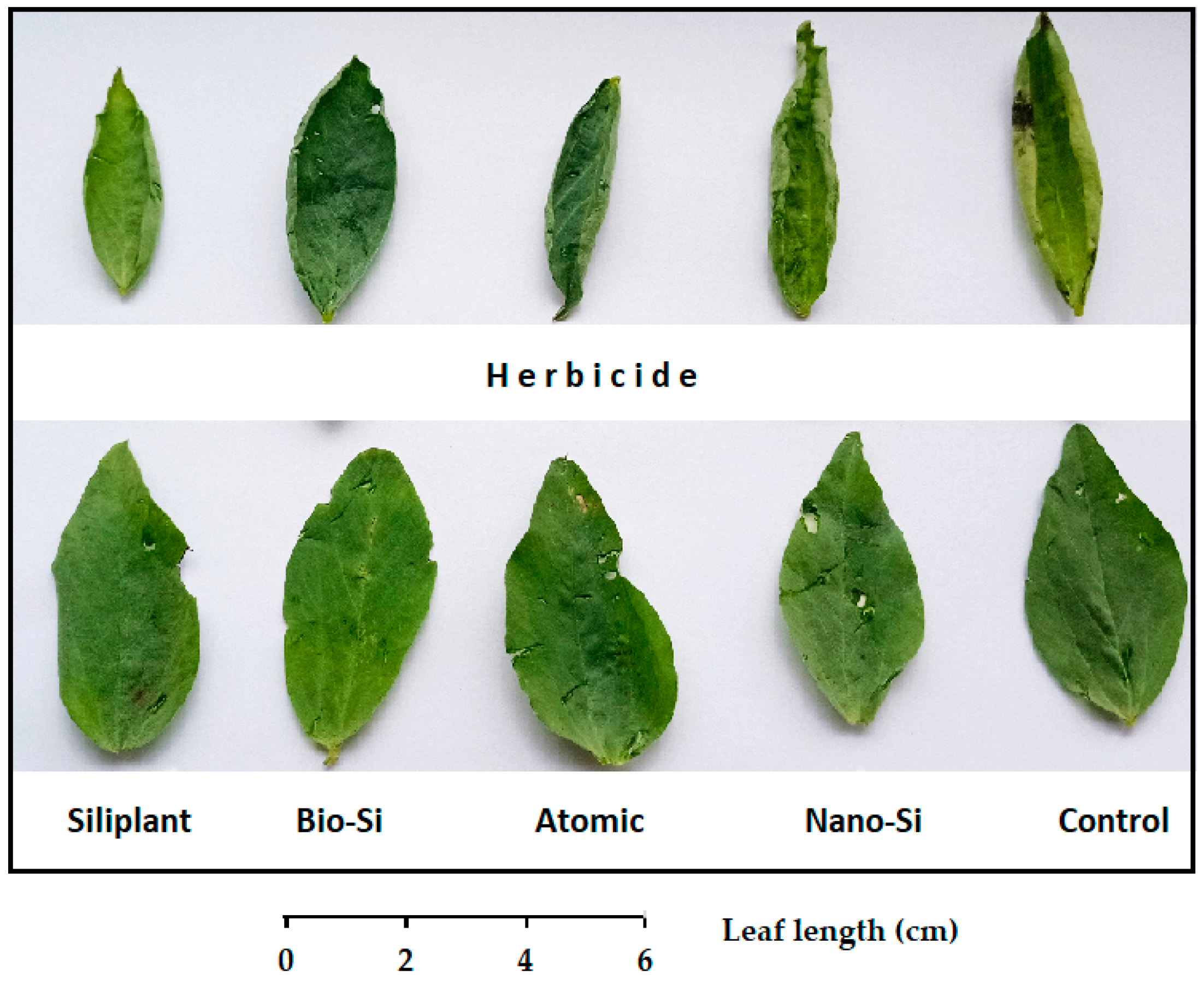 Stresses 05 00068 g001 Stresses 05 00068 g001