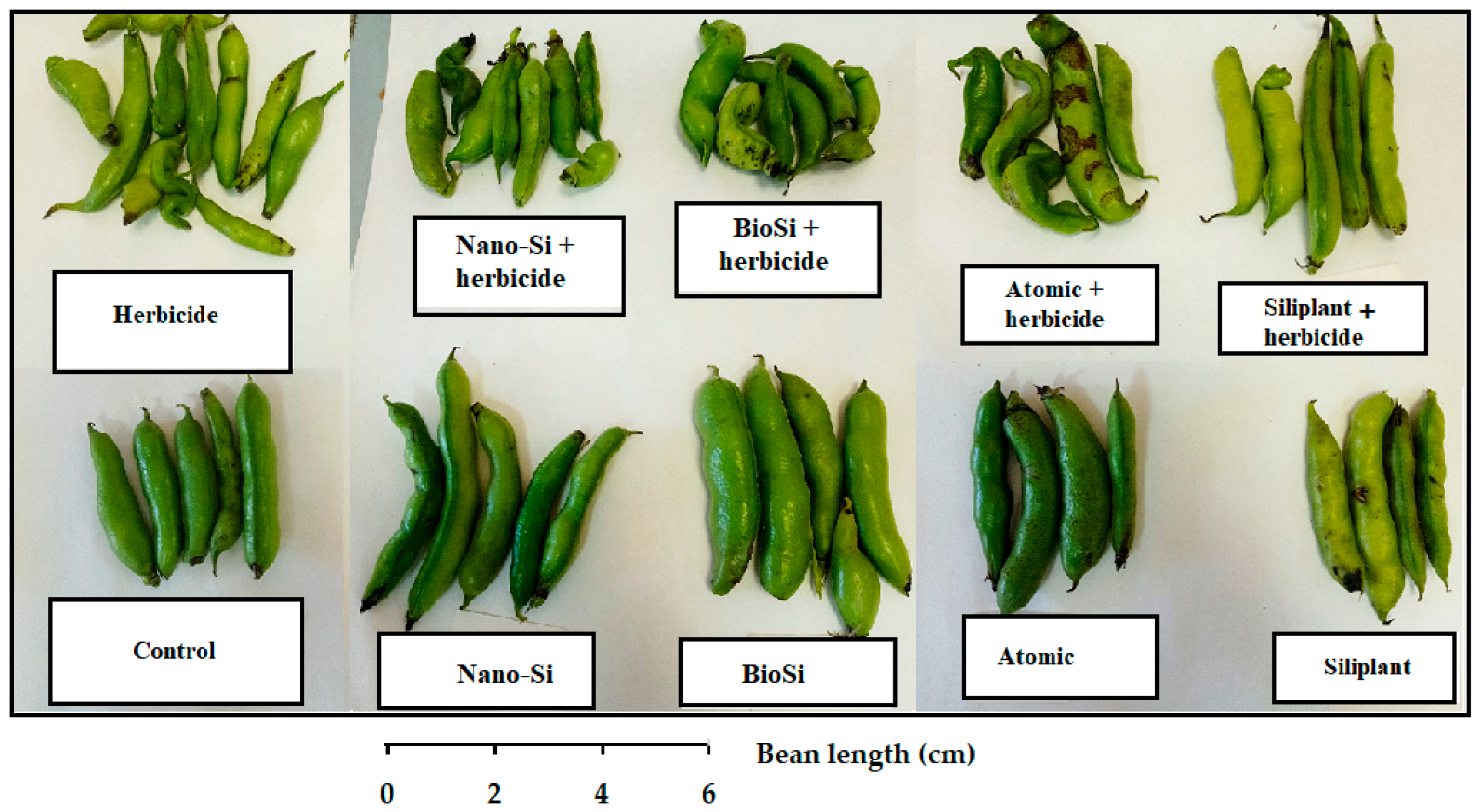 Stresses 05 00068 g002 Stresses 05 00068 g002