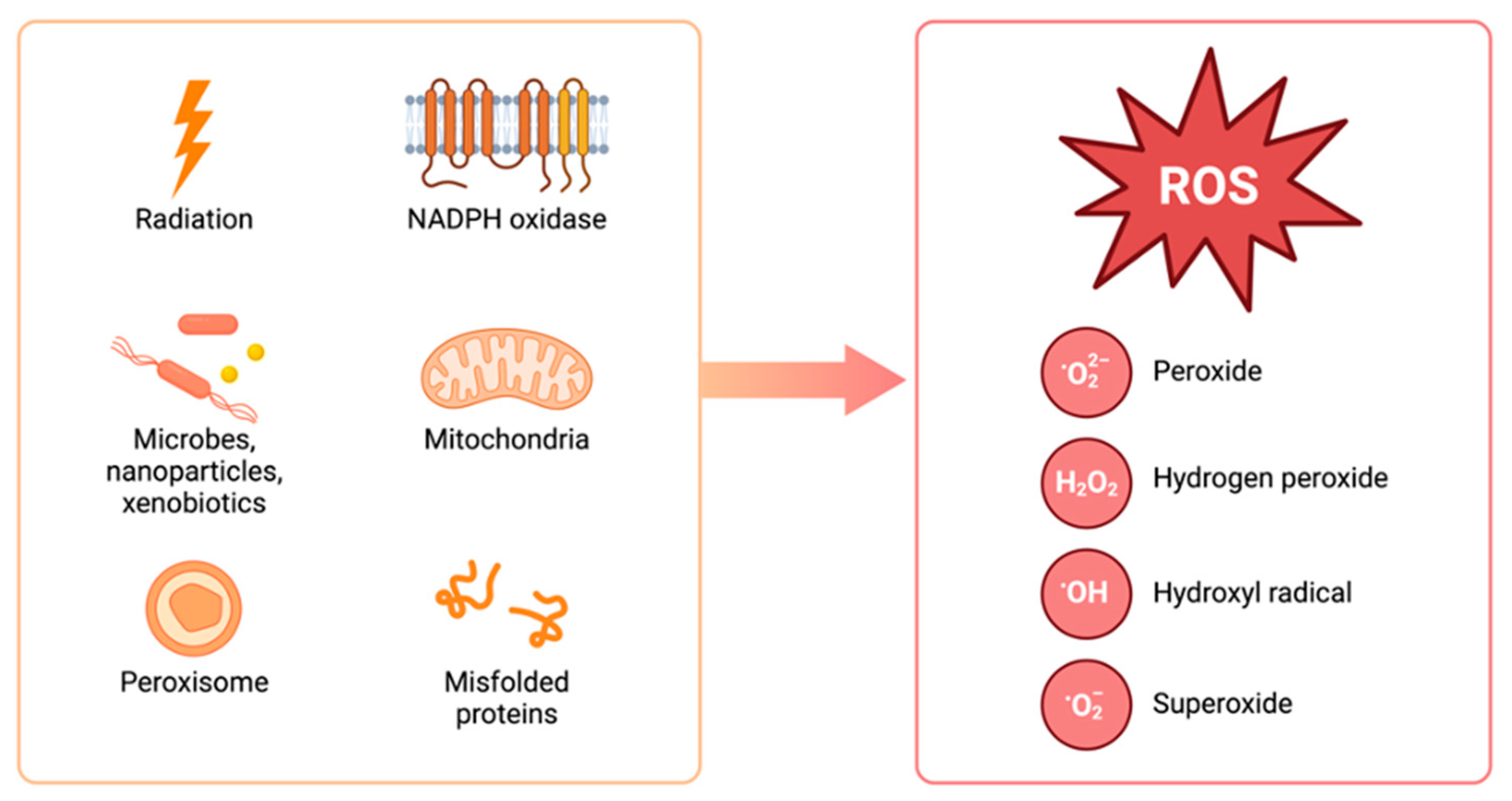 Stresses 05 00069 g001 Stresses 05 00069 g001