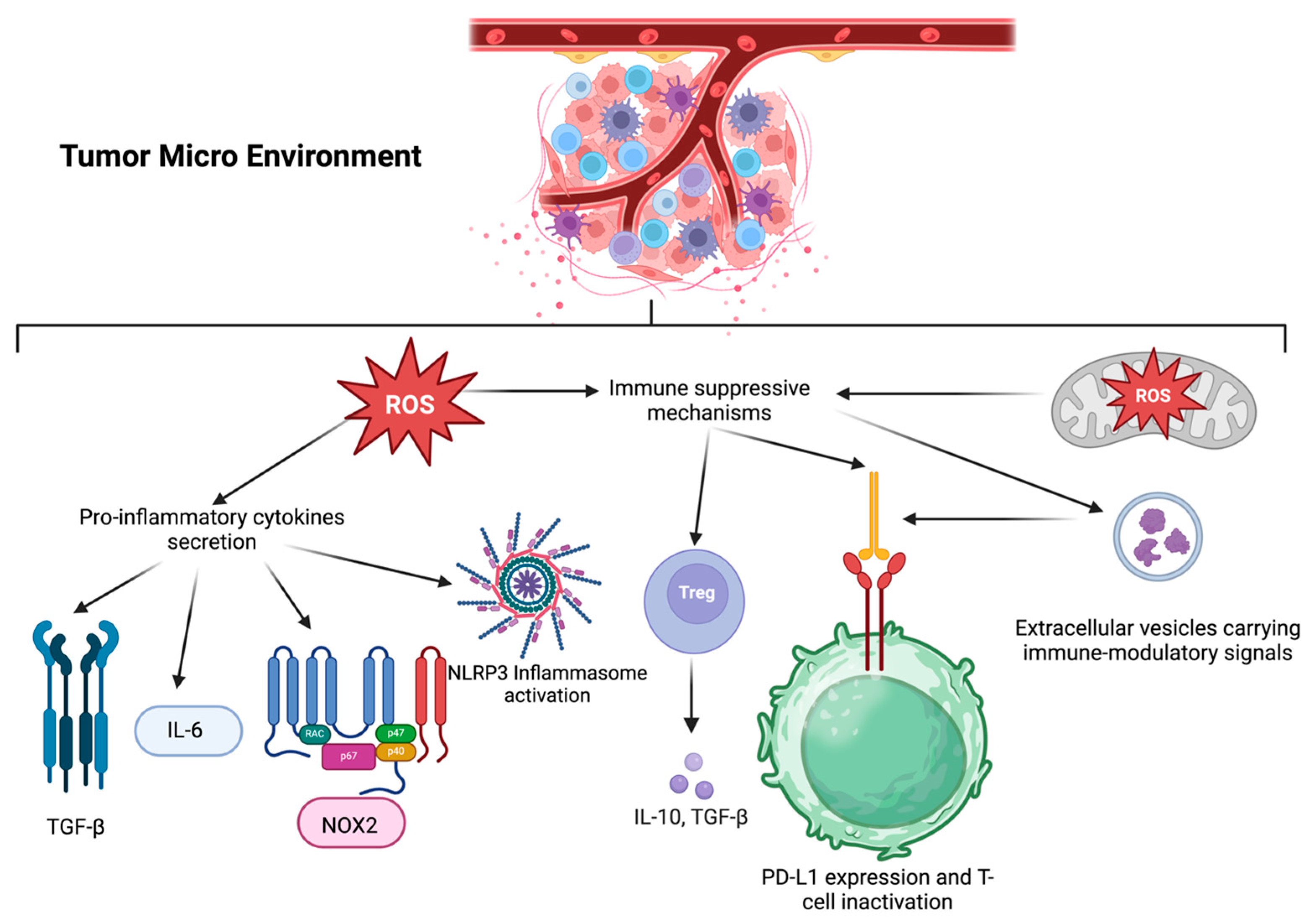 Stresses 05 00069 g004 Stresses 05 00069 g004