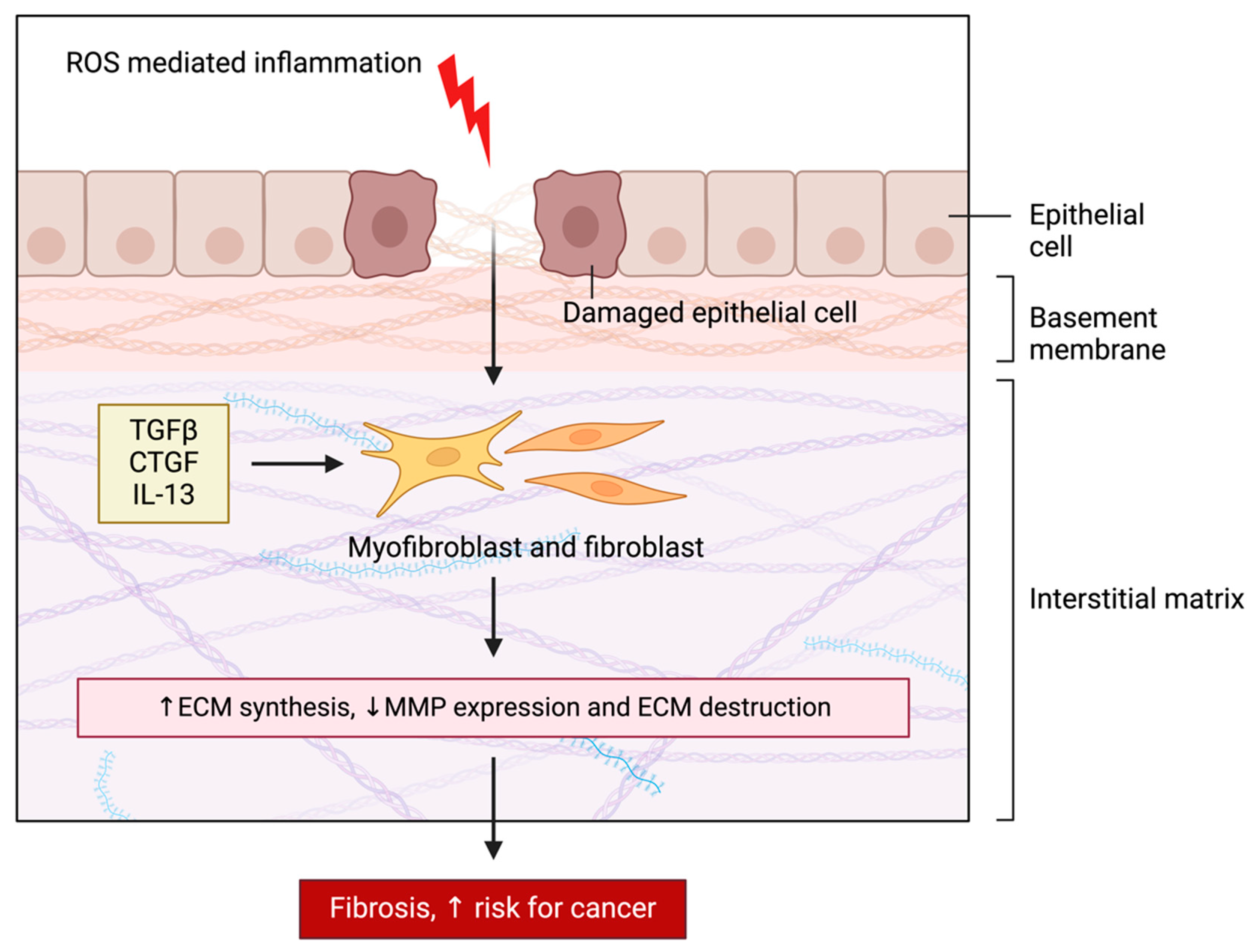 Stresses 05 00069 g005 Stresses 05 00069 g005