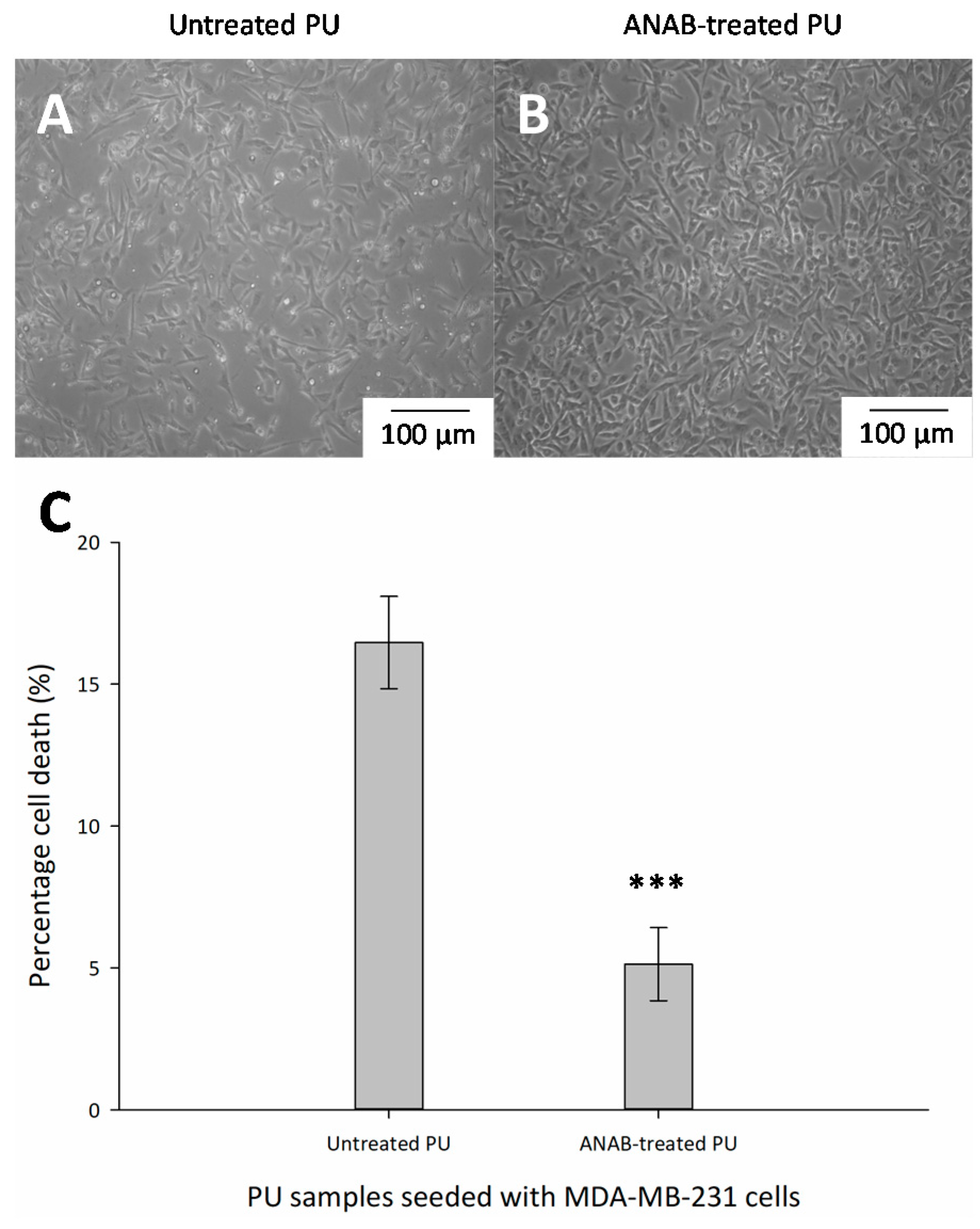 Surfaces 02 00009 g006 Surfaces 02 00009 g006