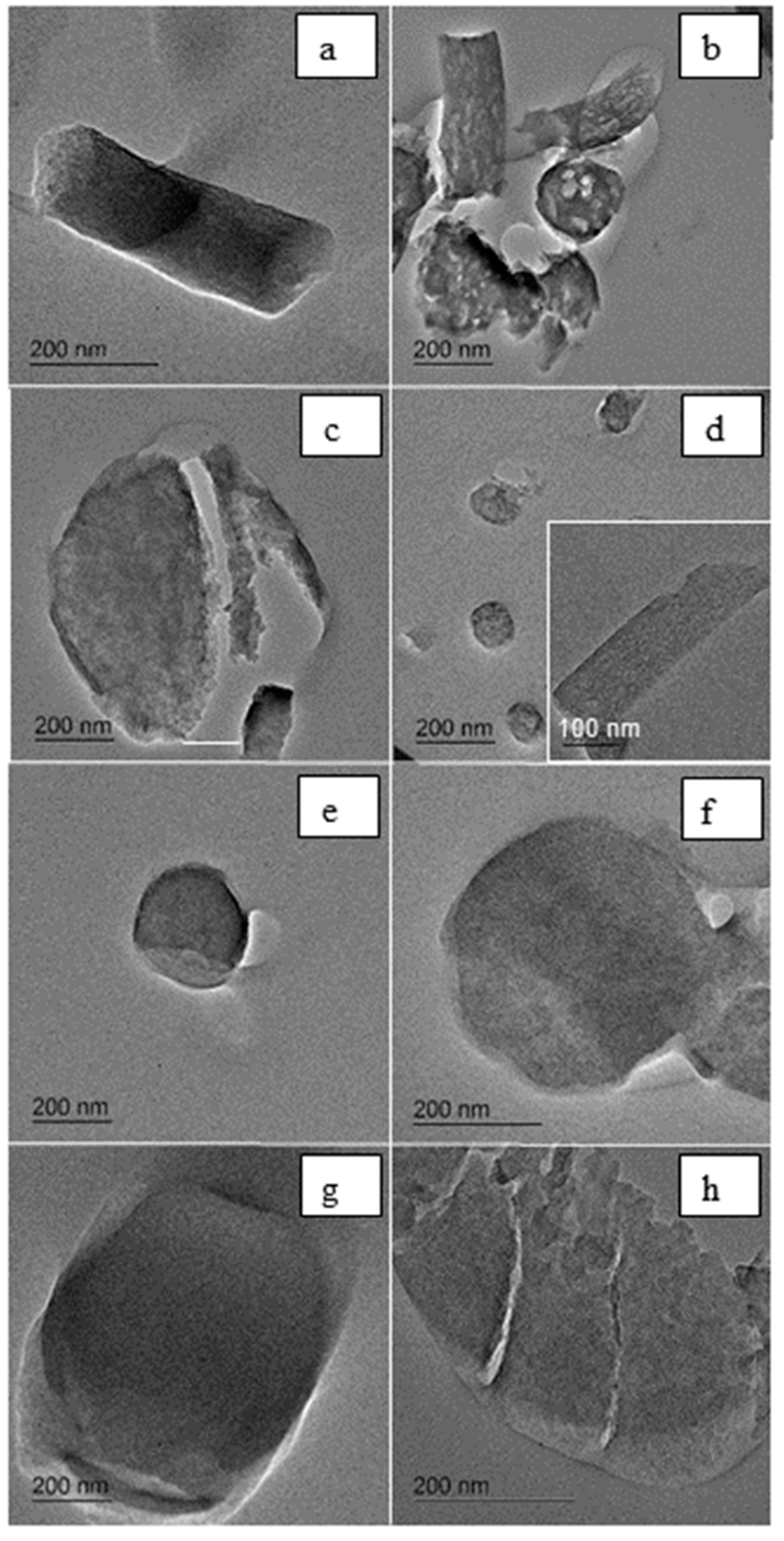 Surfaces 02 00013 g003 Surfaces 02 00013 g003