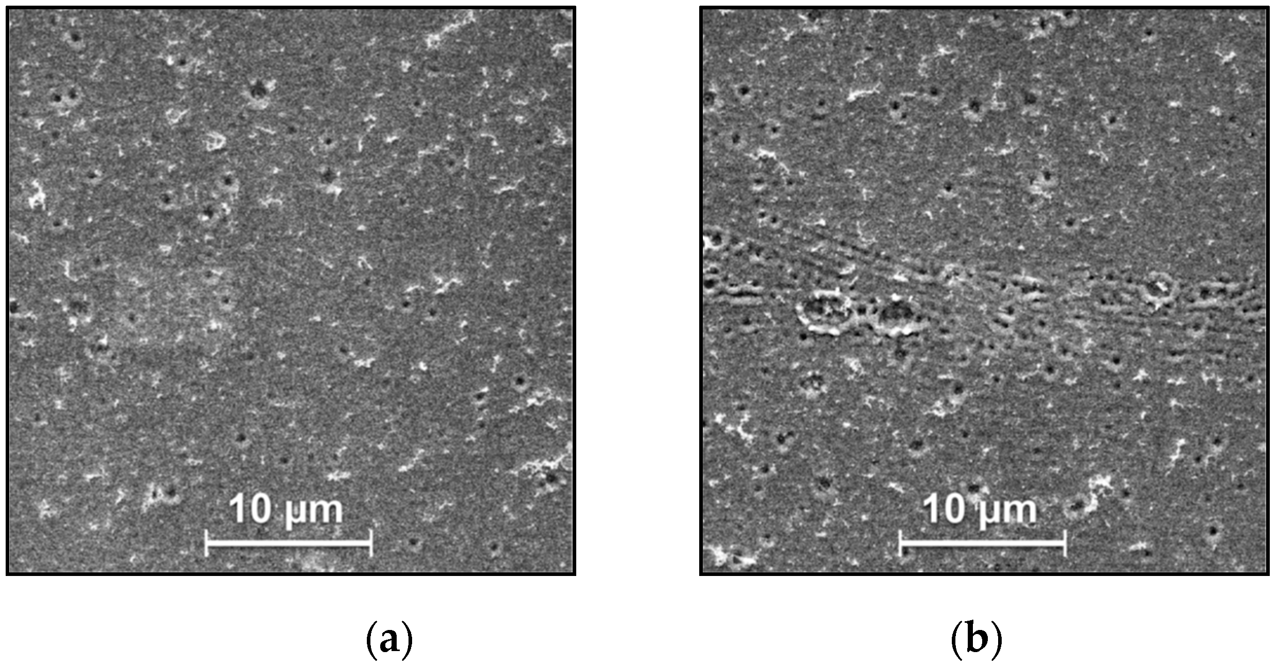 Surfaces 02 00021 g002 Surfaces 02 00021 g002