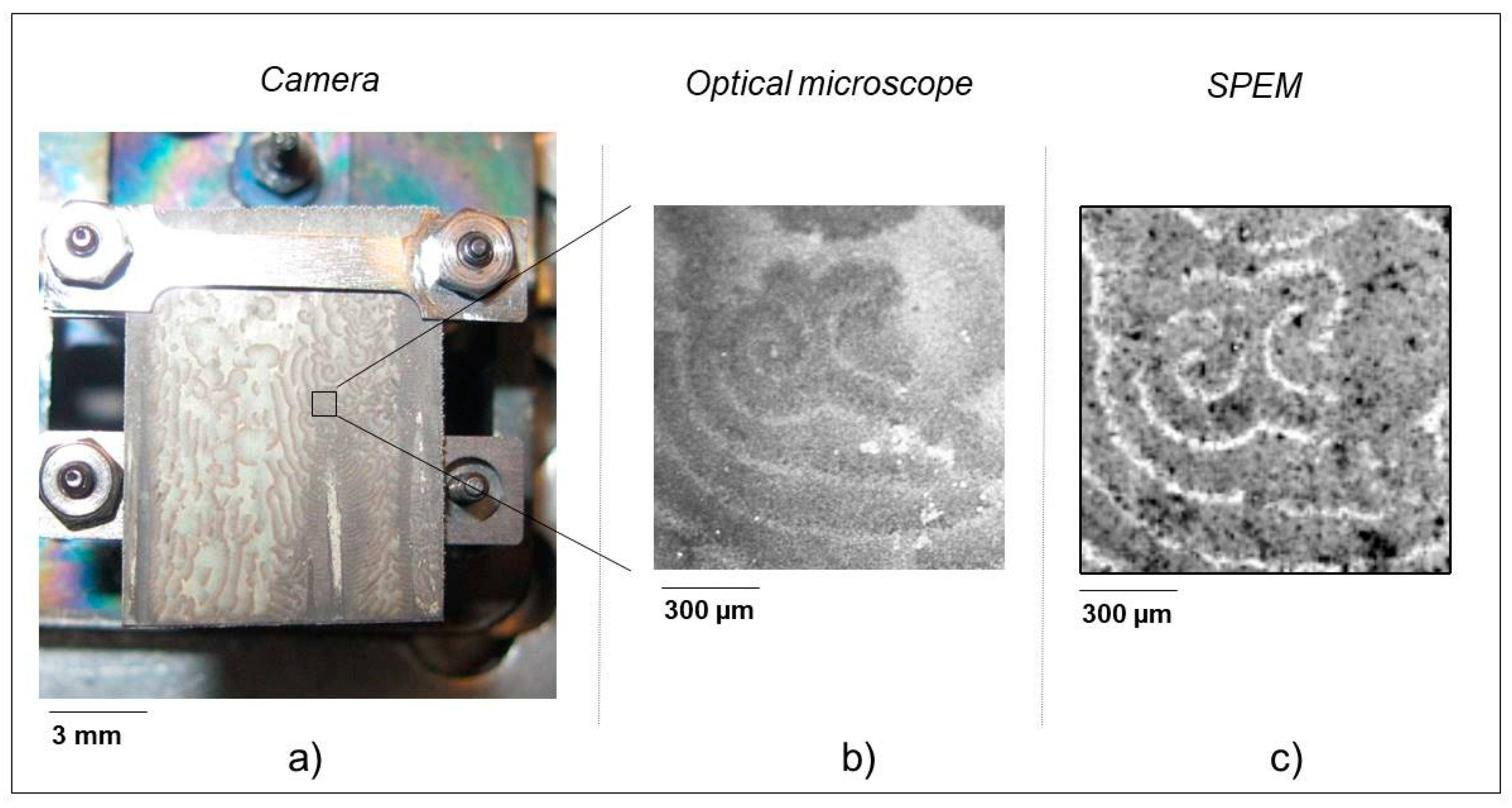 Surfaces 02 00022 g005