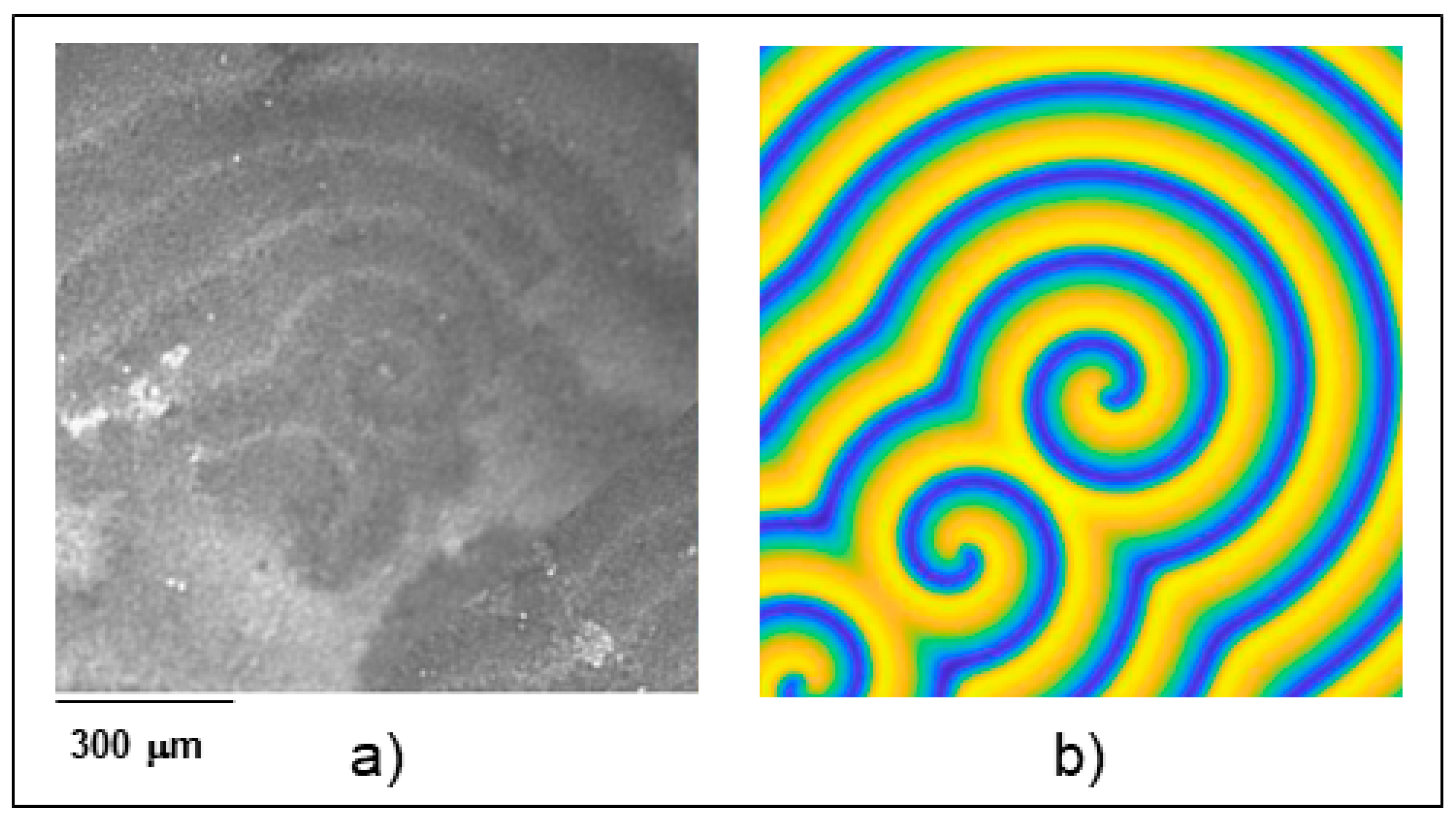 Surfaces 02 00022 g010