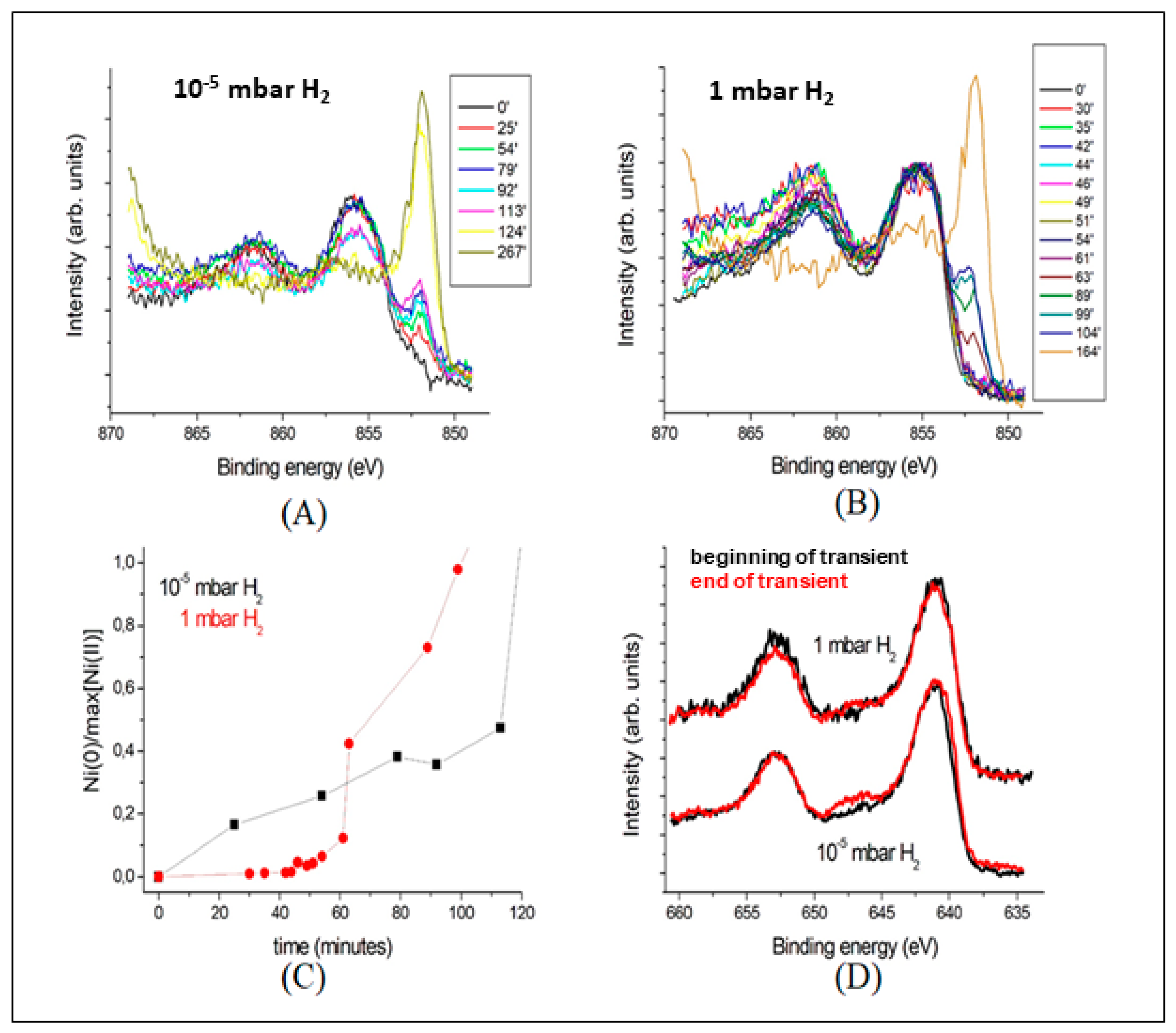 Surfaces 02 00022 g013