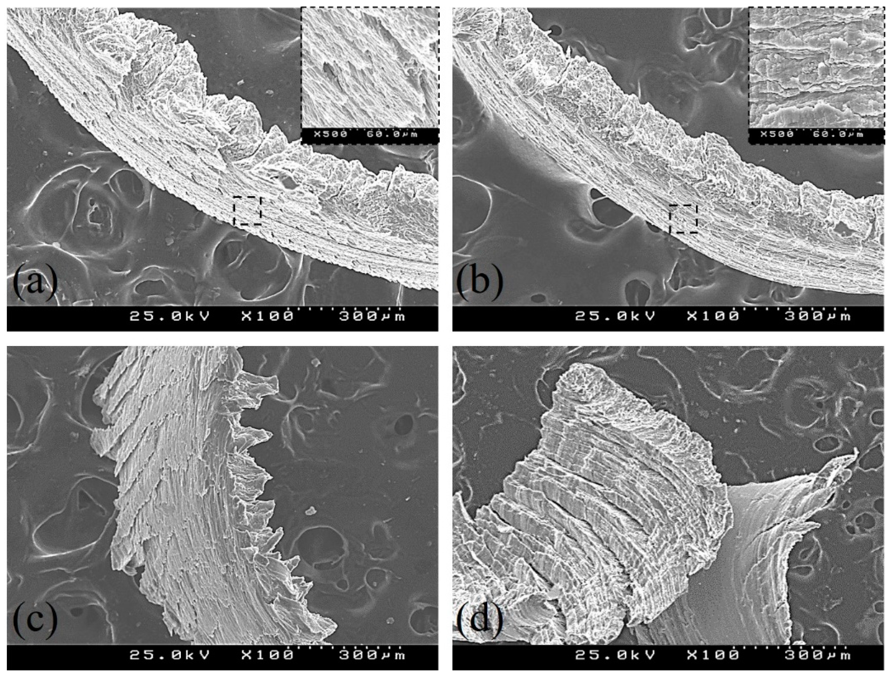 Surfaces 02 00024 g008