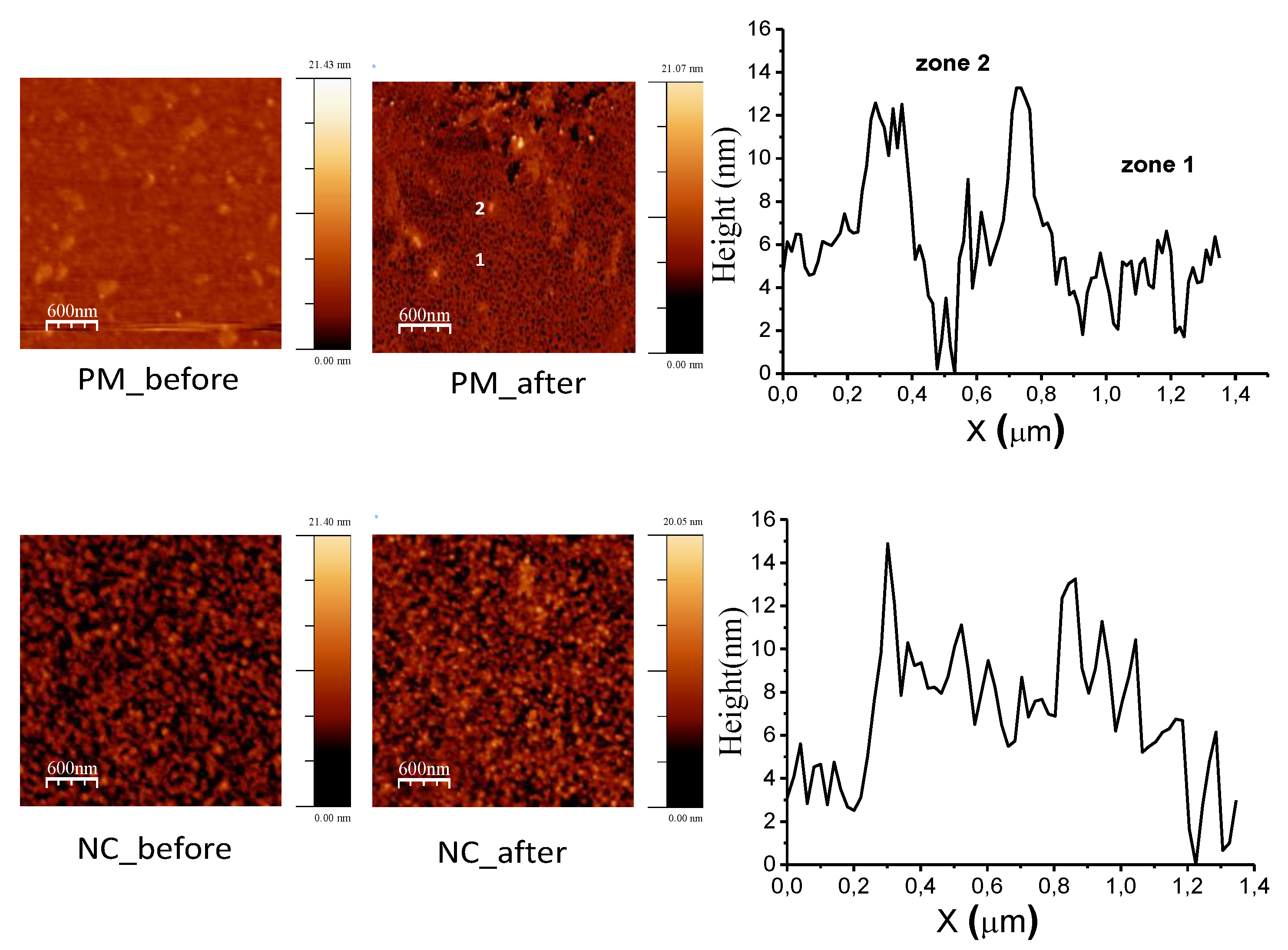 Surfaces 02 00030 g005