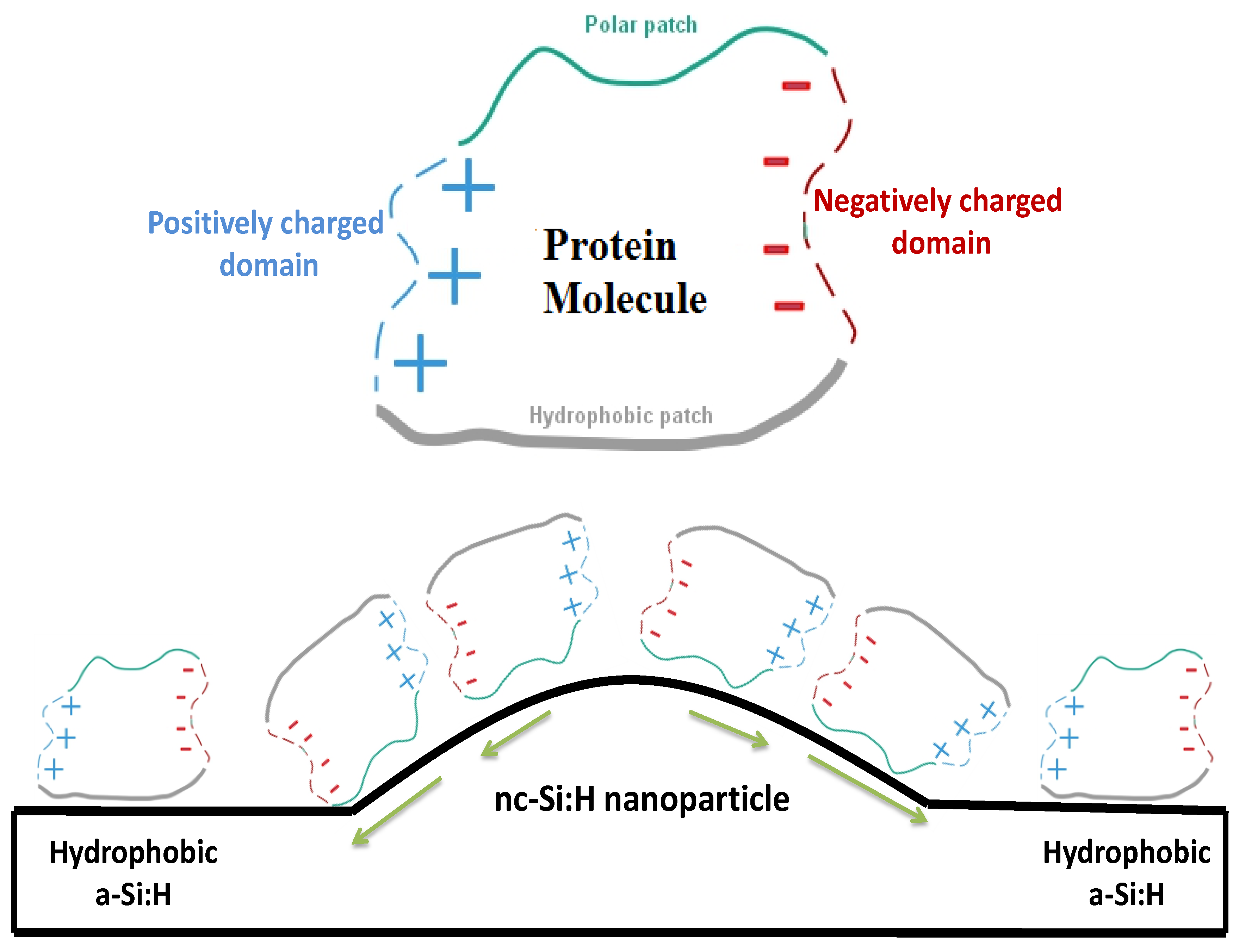 Surfaces 02 00030 g007