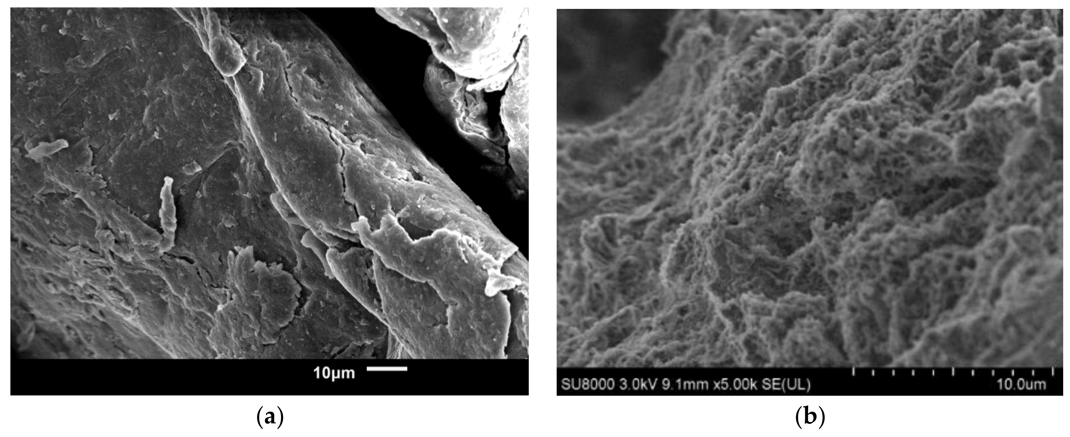 Surfaces 02 00035 g004 Surfaces 02 00035 g004