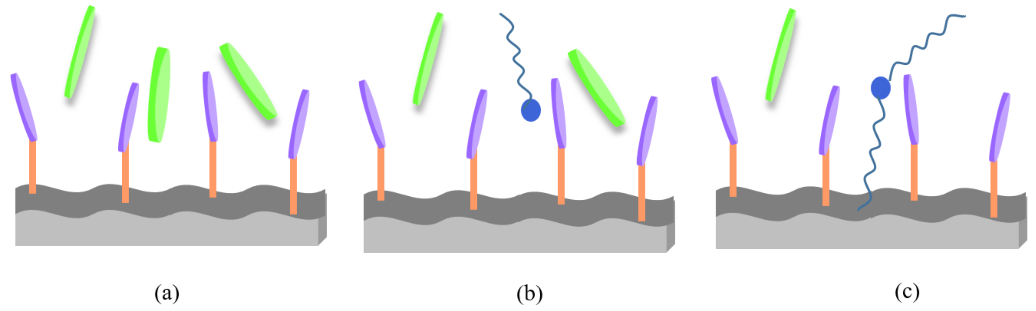 Surfaces 02 00035 sch002 Surfaces 02 00035 sch002