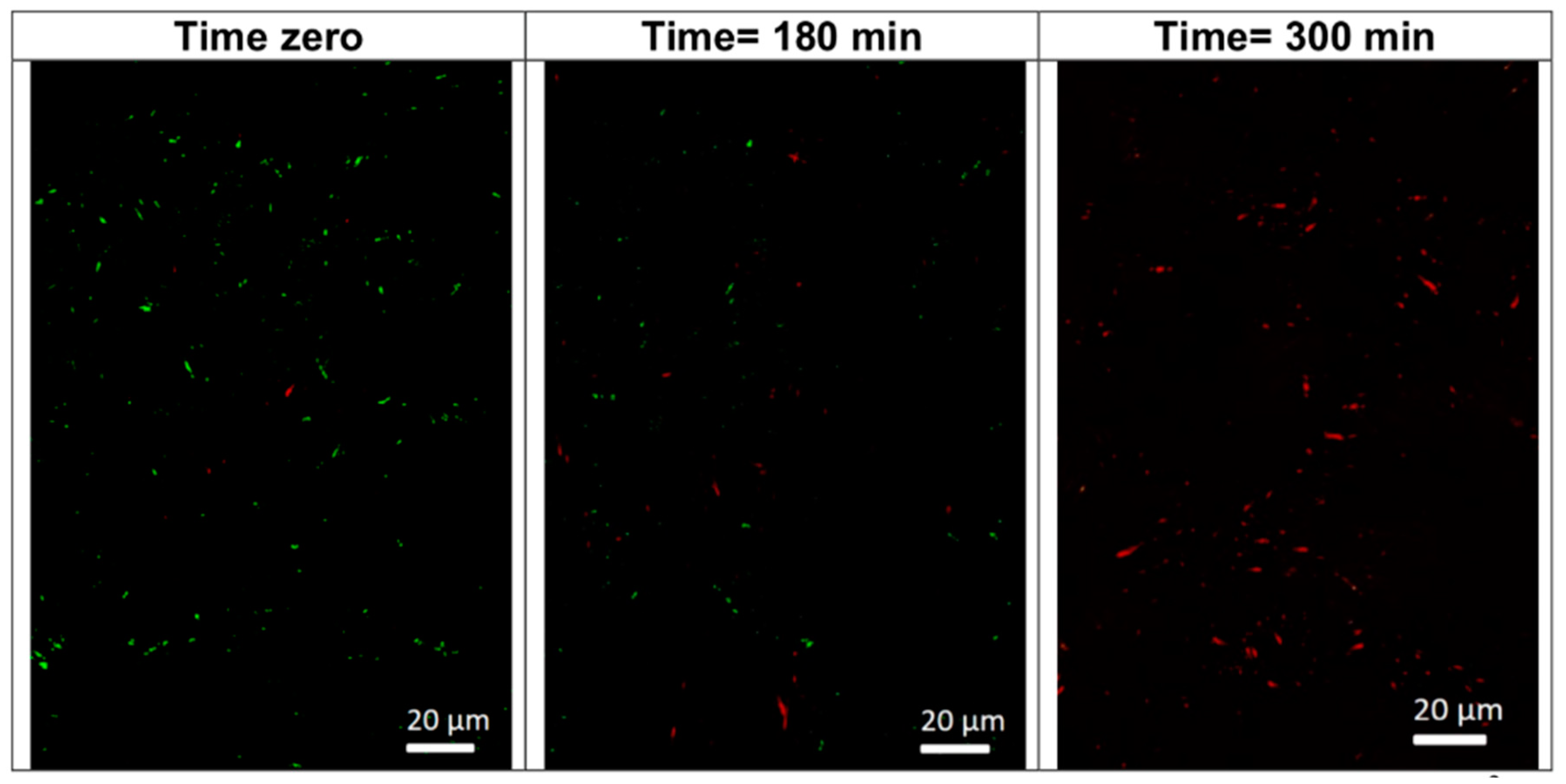 Surfaces 03 00002 g008 Surfaces 03 00002 g008