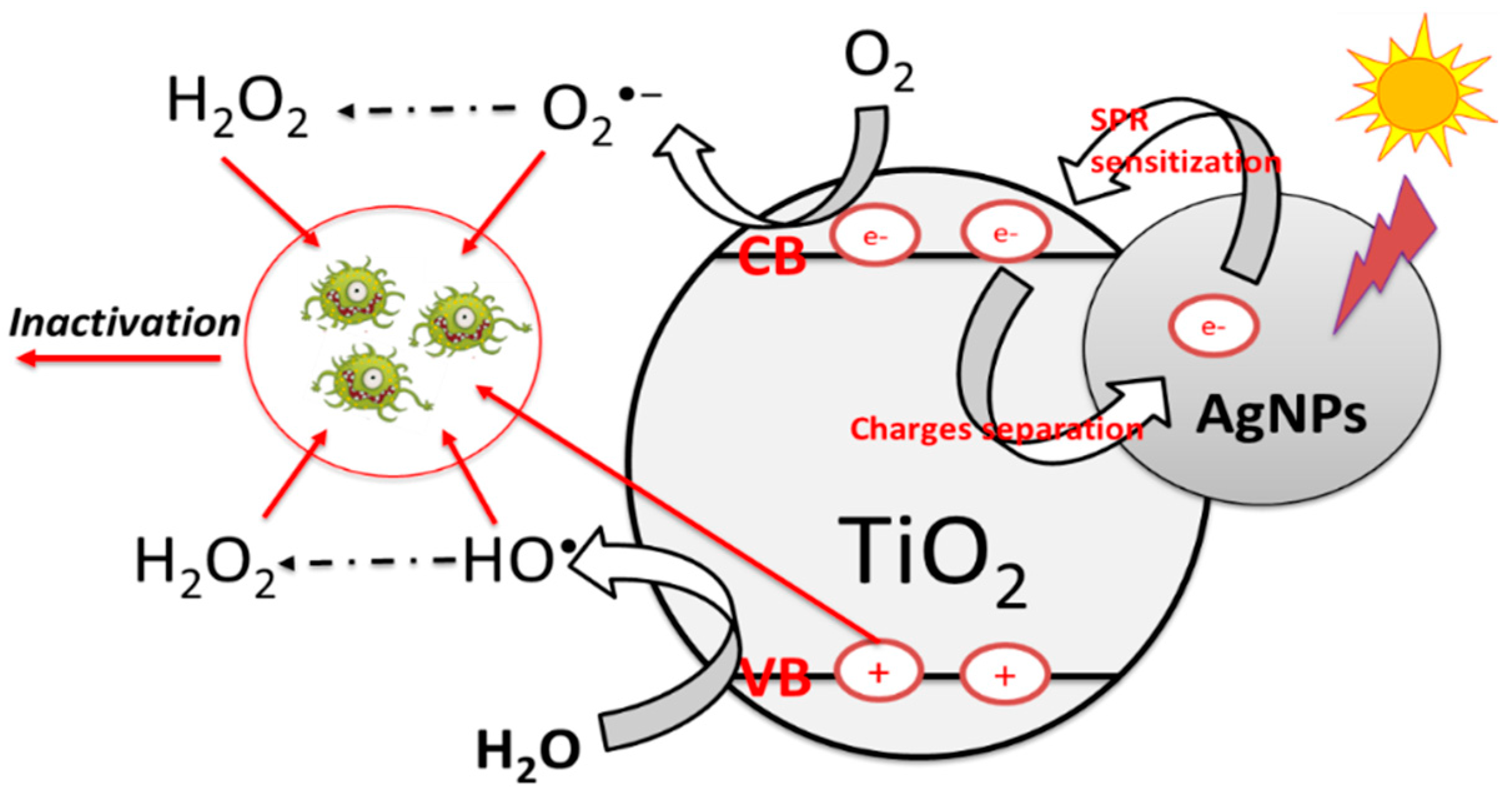 Surfaces 03 00002 g011 Surfaces 03 00002 g011