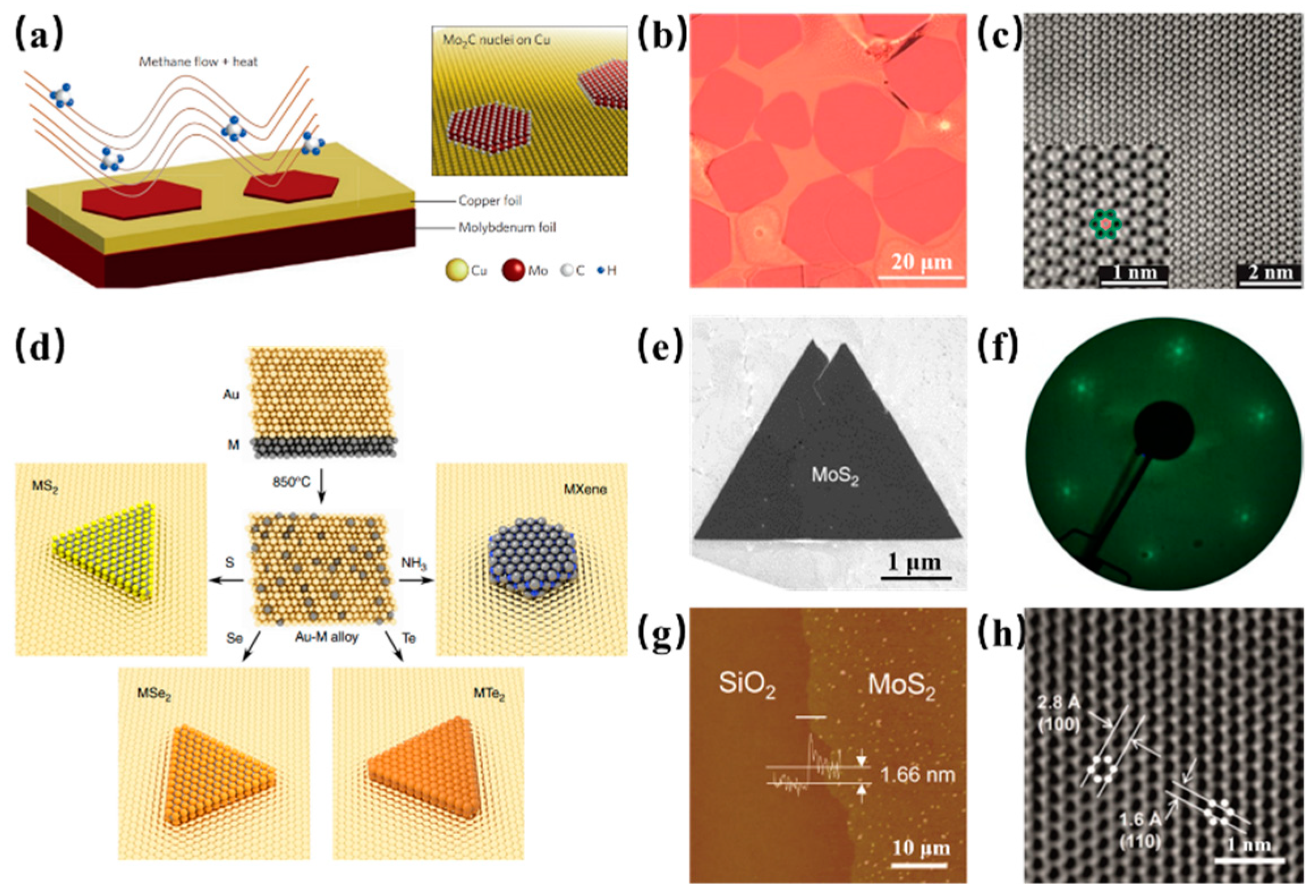 Surfaces 03 00003 g004