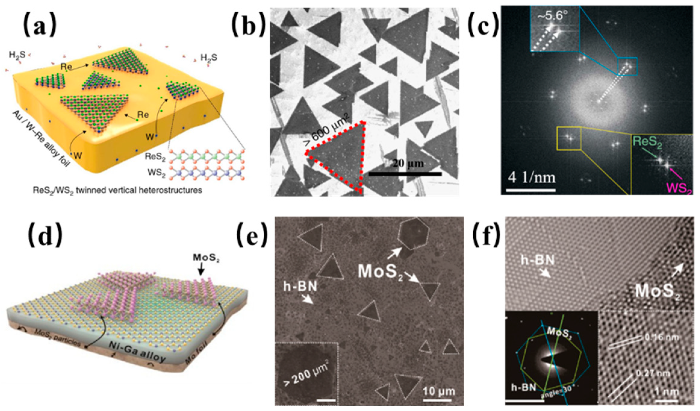 Surfaces 03 00003 g006