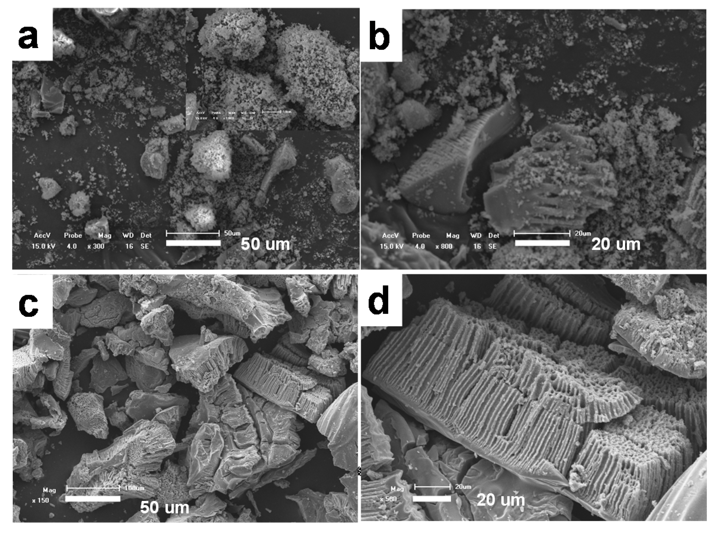 Surfaces 03 00006 g001