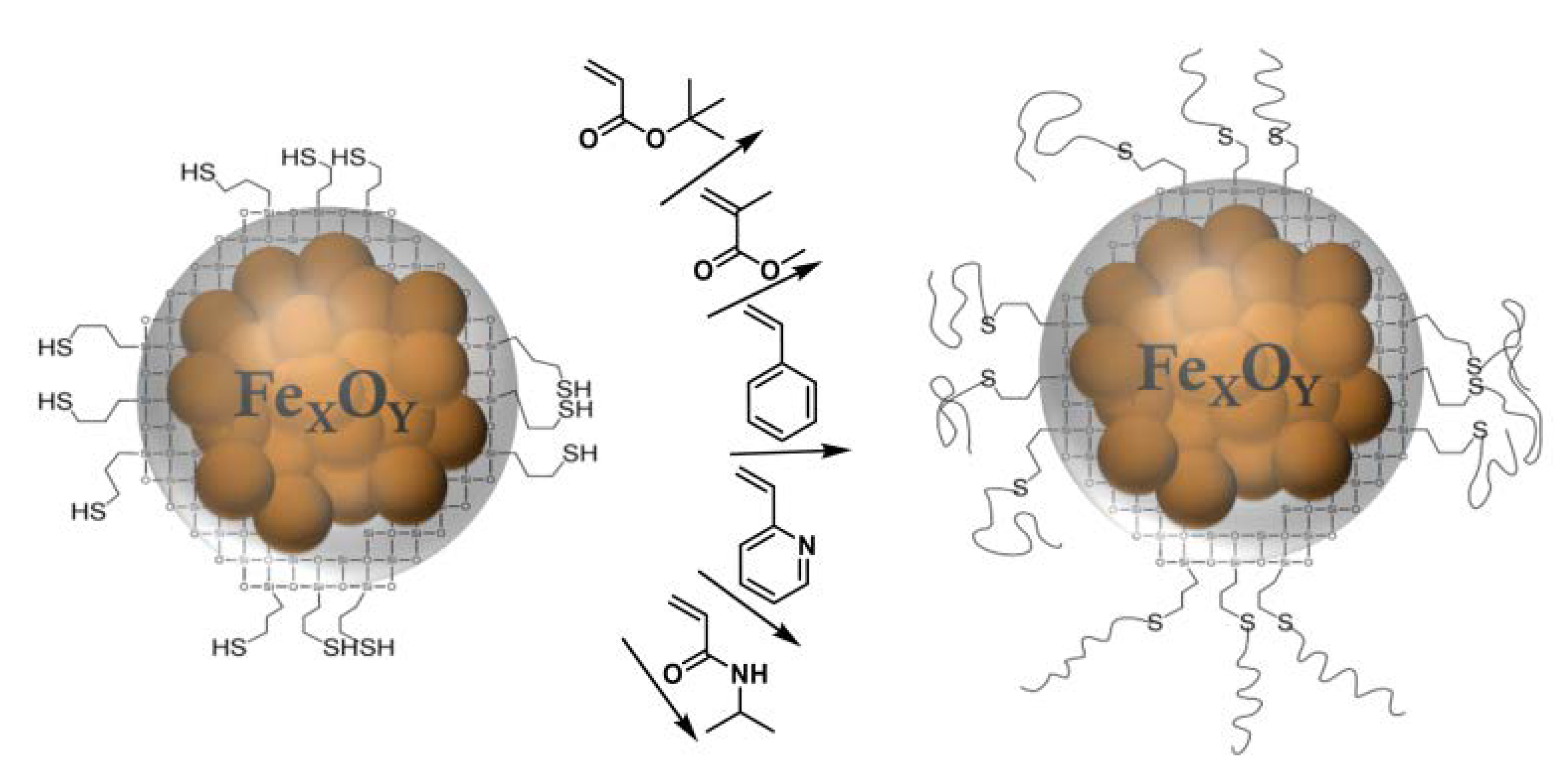 Surfaces 03 00011 sch002