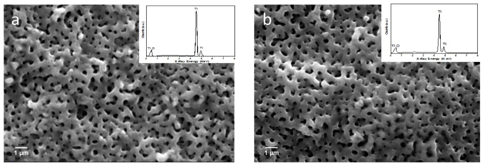 Surfaces 03 00013 g001 Surfaces 03 00013 g001