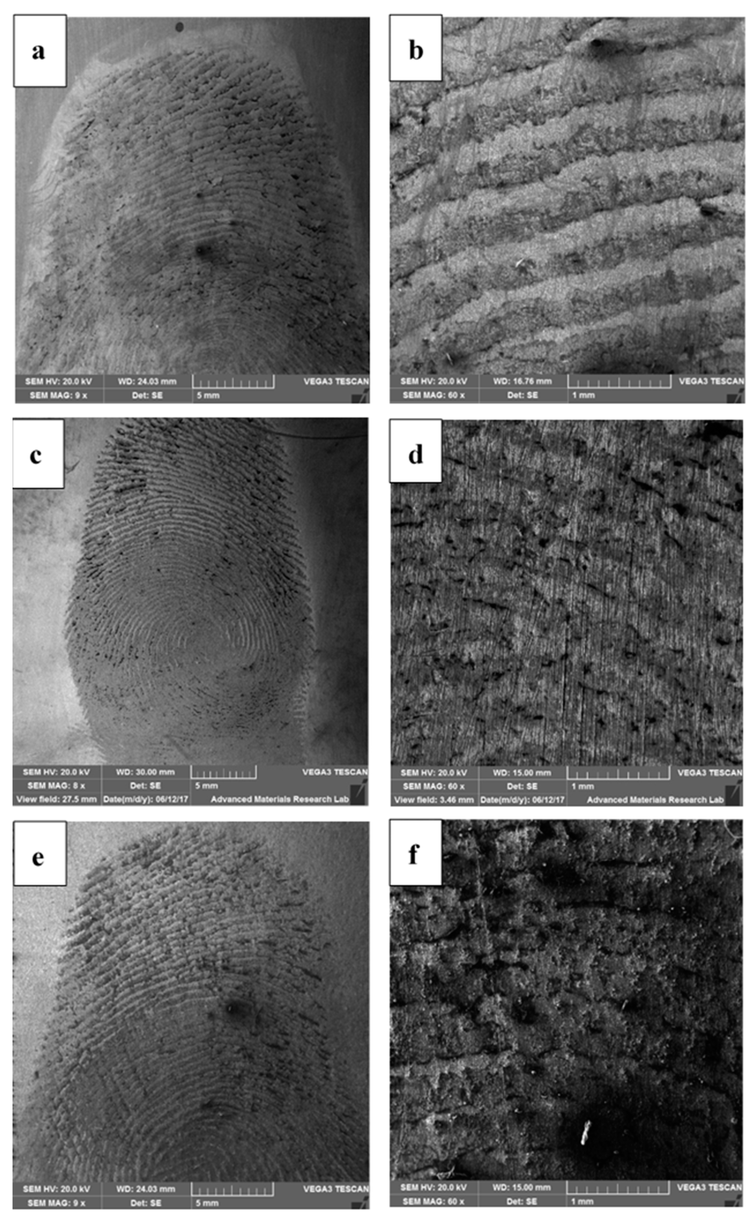 Surfaces 03 00014 g005