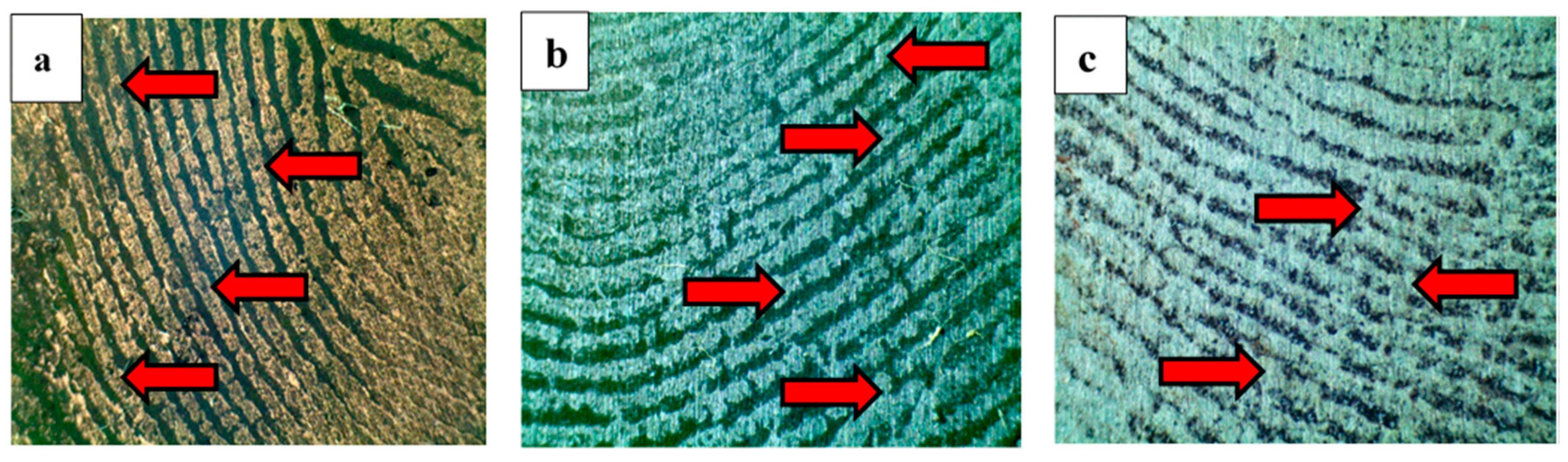 Surfaces 03 00014 g006