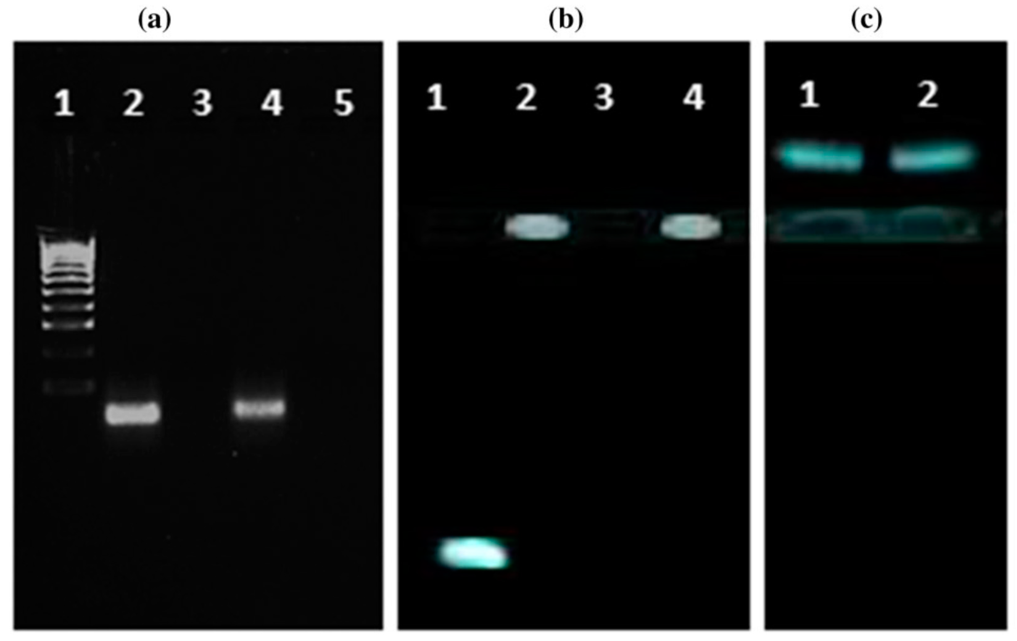 Surfaces 03 00014 g010