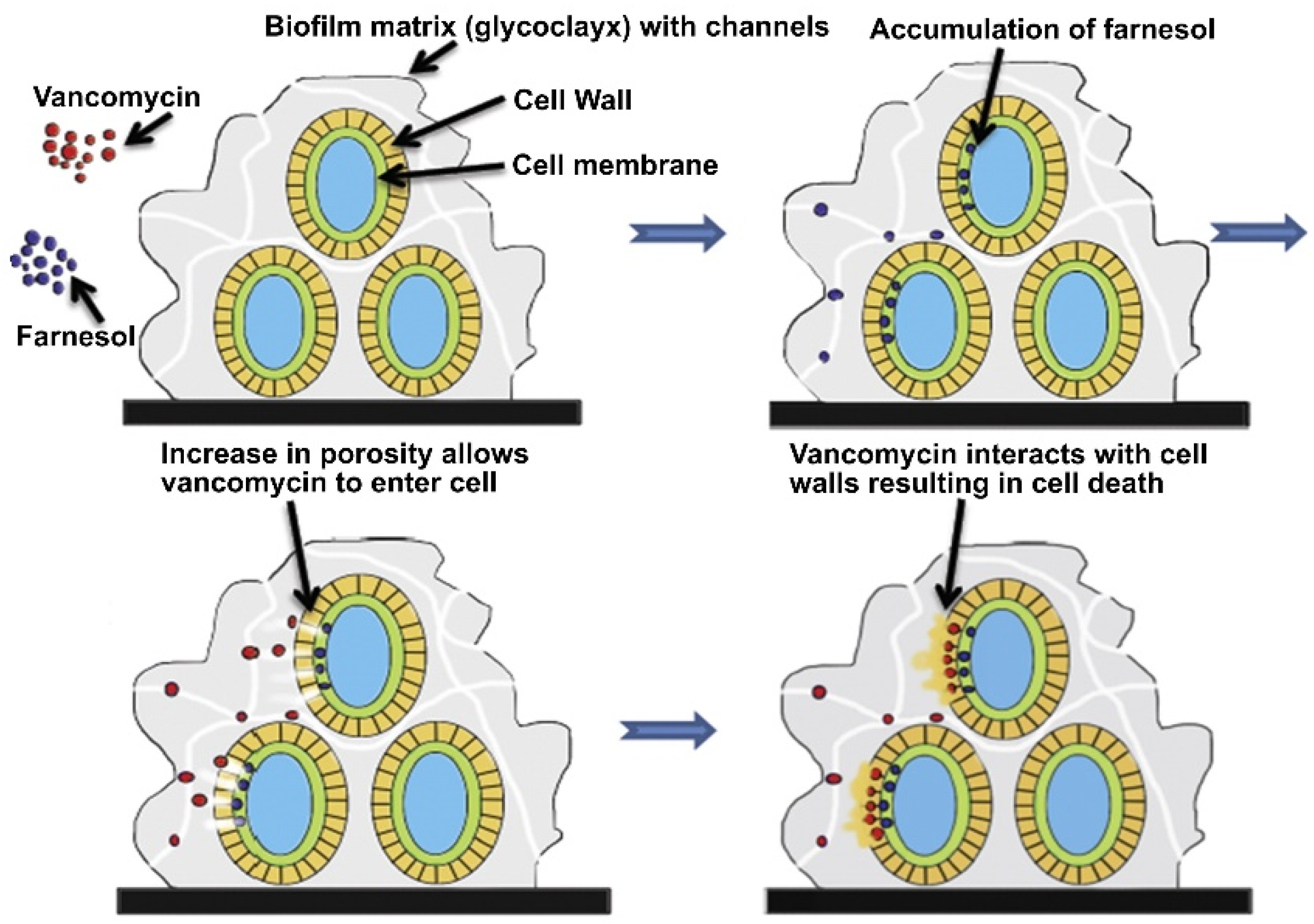 Surfaces 03 00015 g002 Surfaces 03 00015 g002