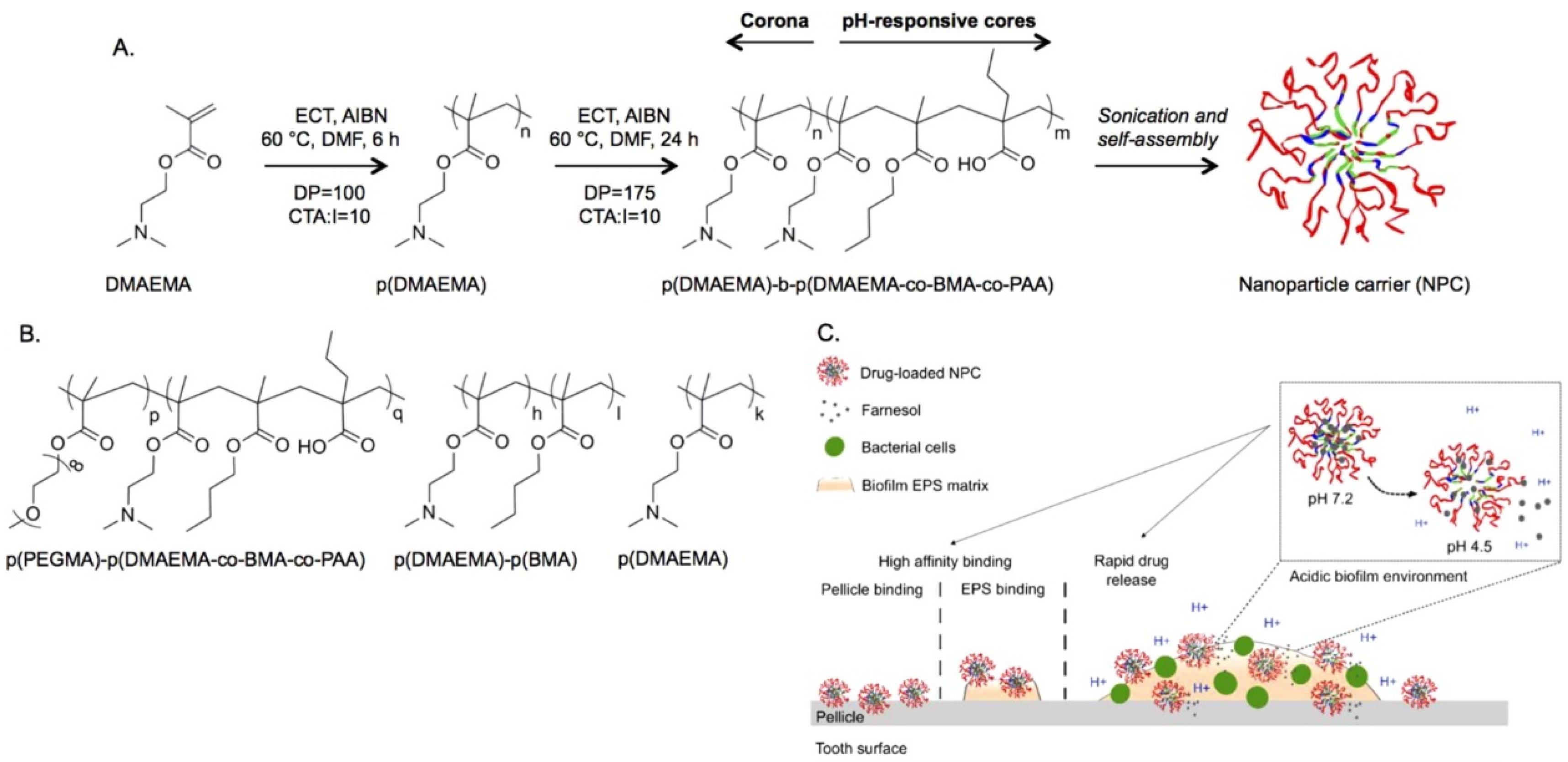 Surfaces 03 00015 g003 Surfaces 03 00015 g003