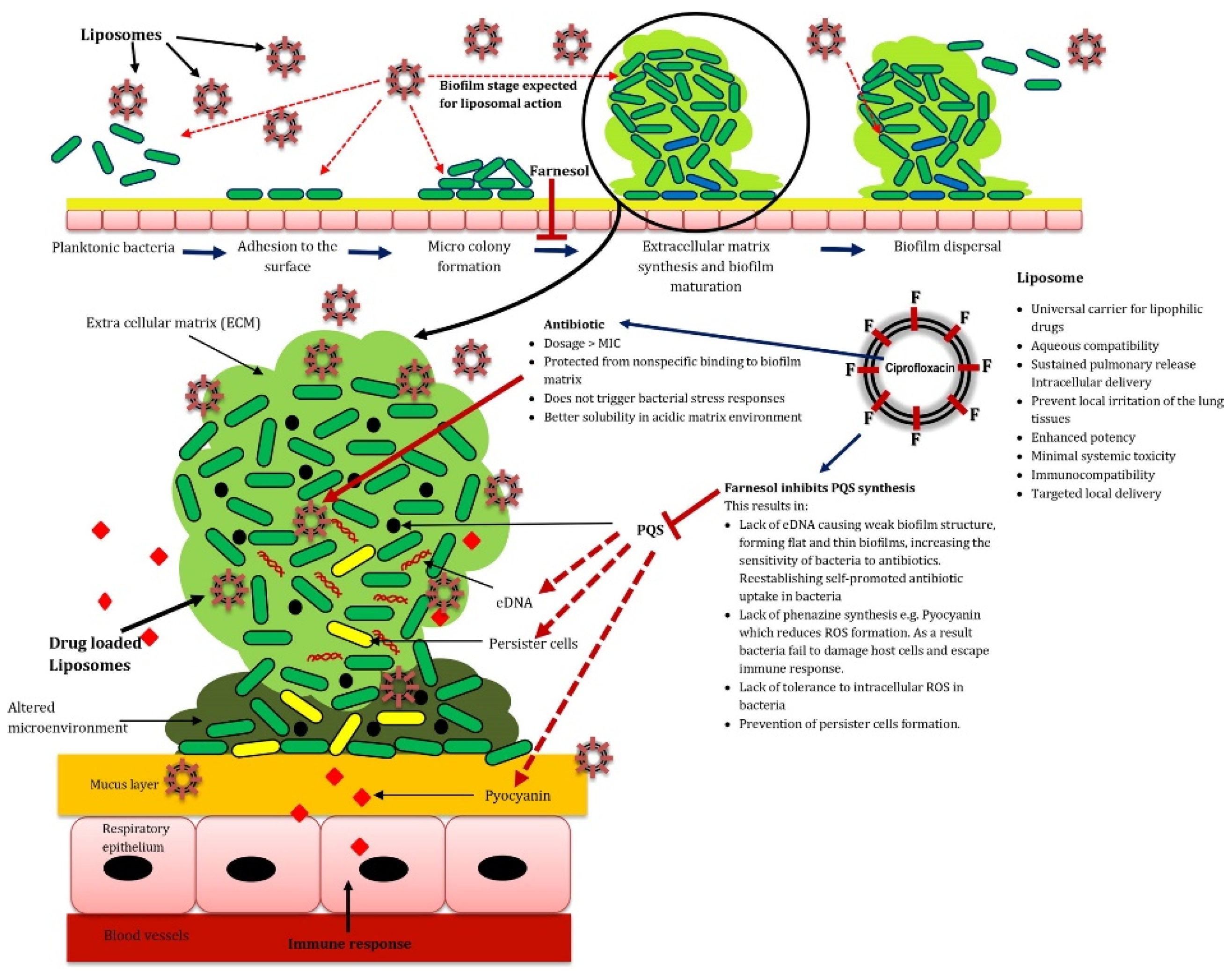 Surfaces 03 00015 g004 Surfaces 03 00015 g004