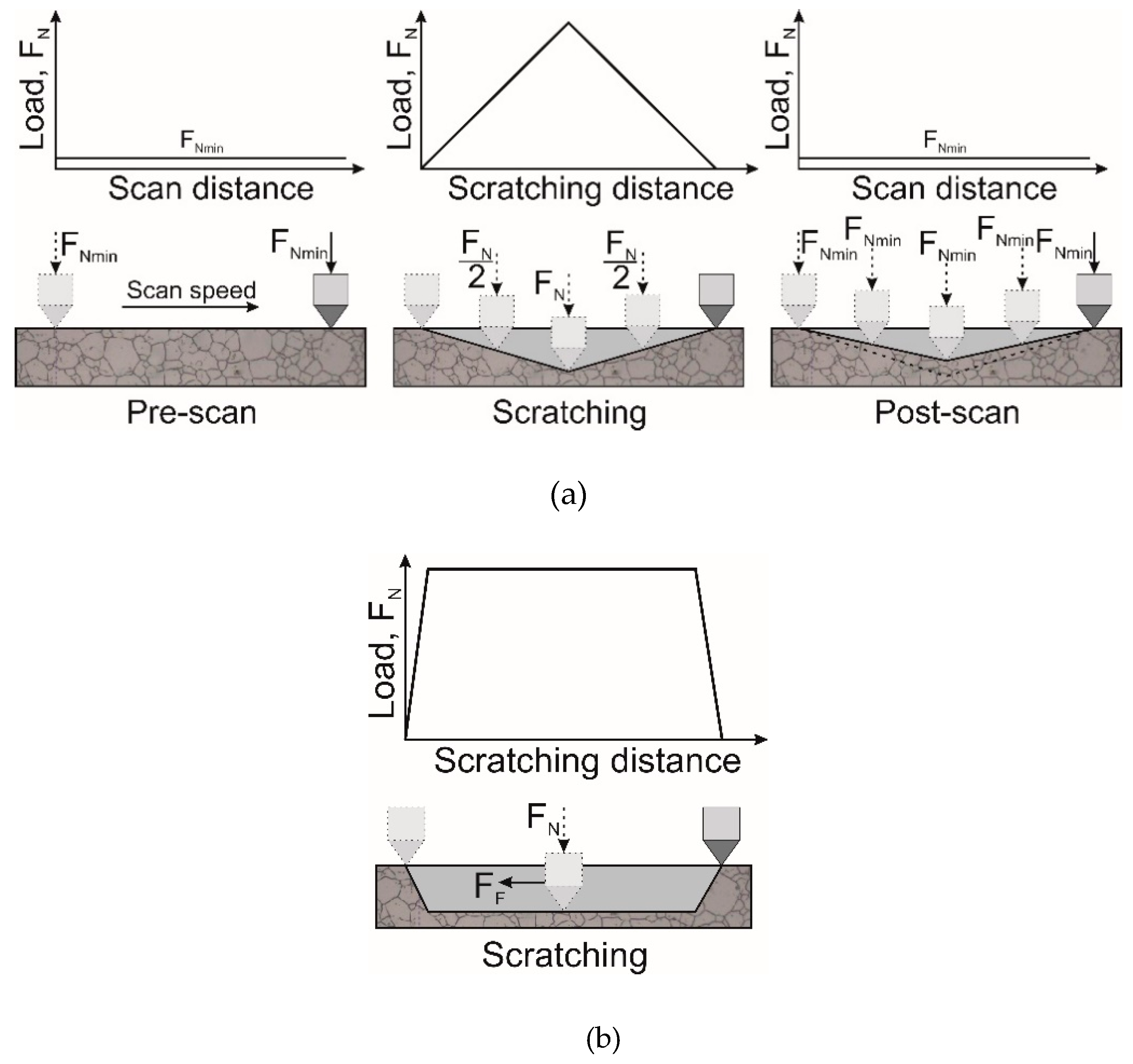 Surfaces 03 00016 g001